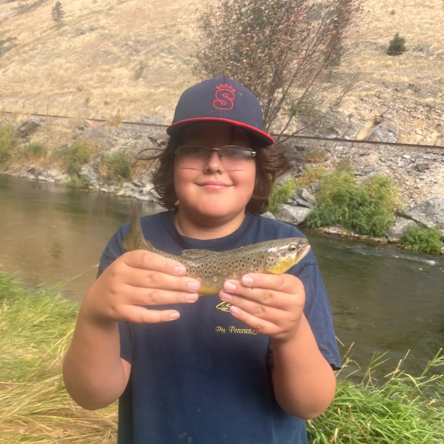 Brown trout caught on Fishbrain
