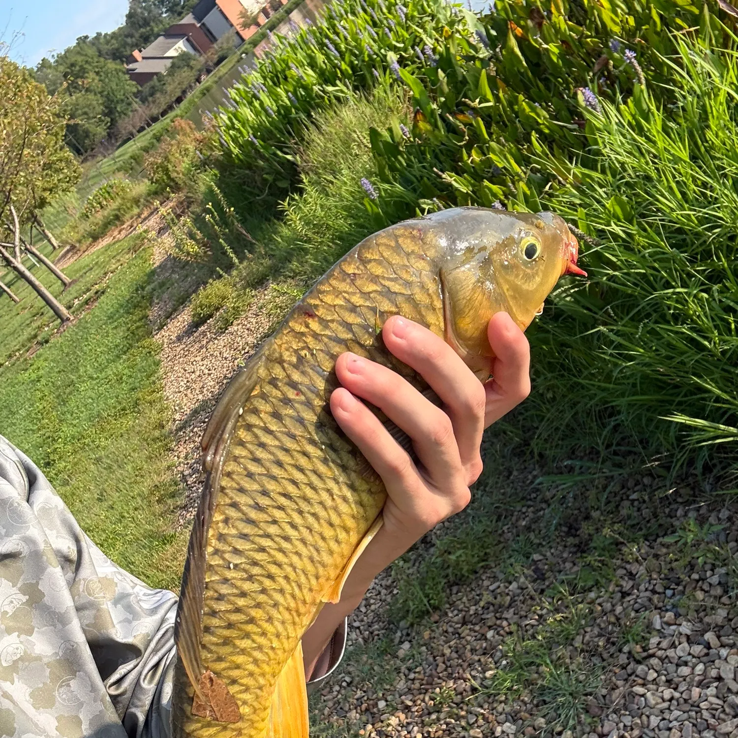 catch