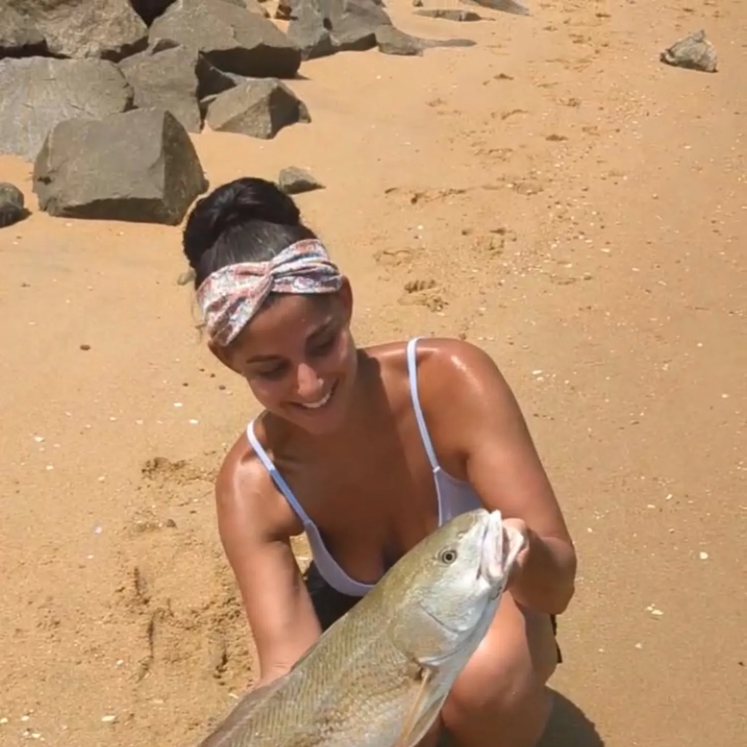 The most recent Red drum catches on Fishbrain