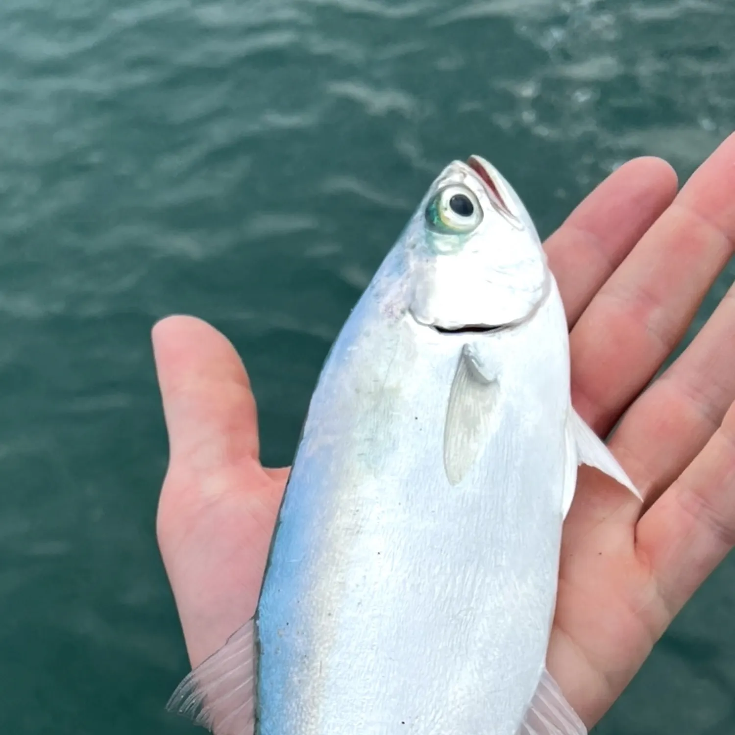 most liked catch image