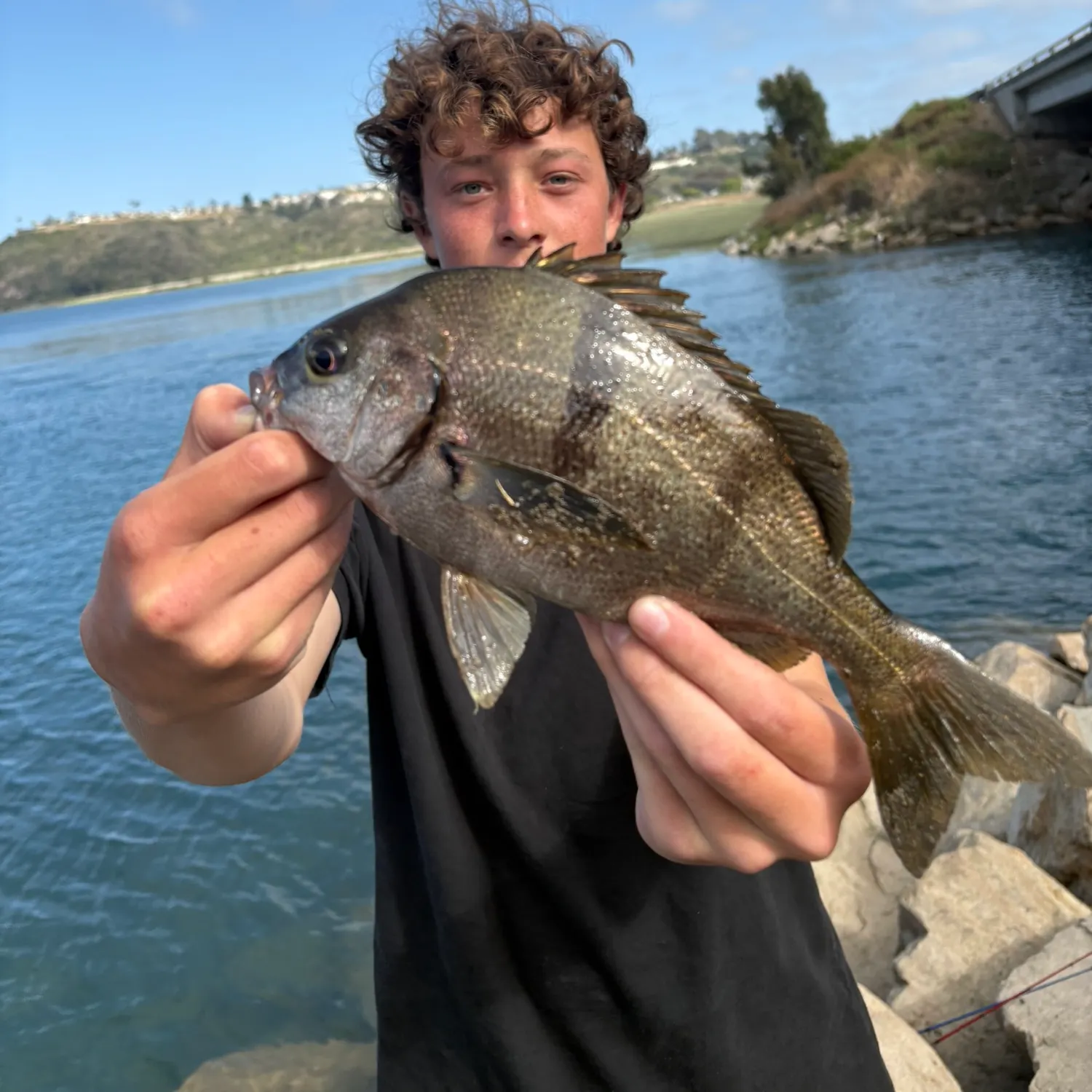 most liked catch image