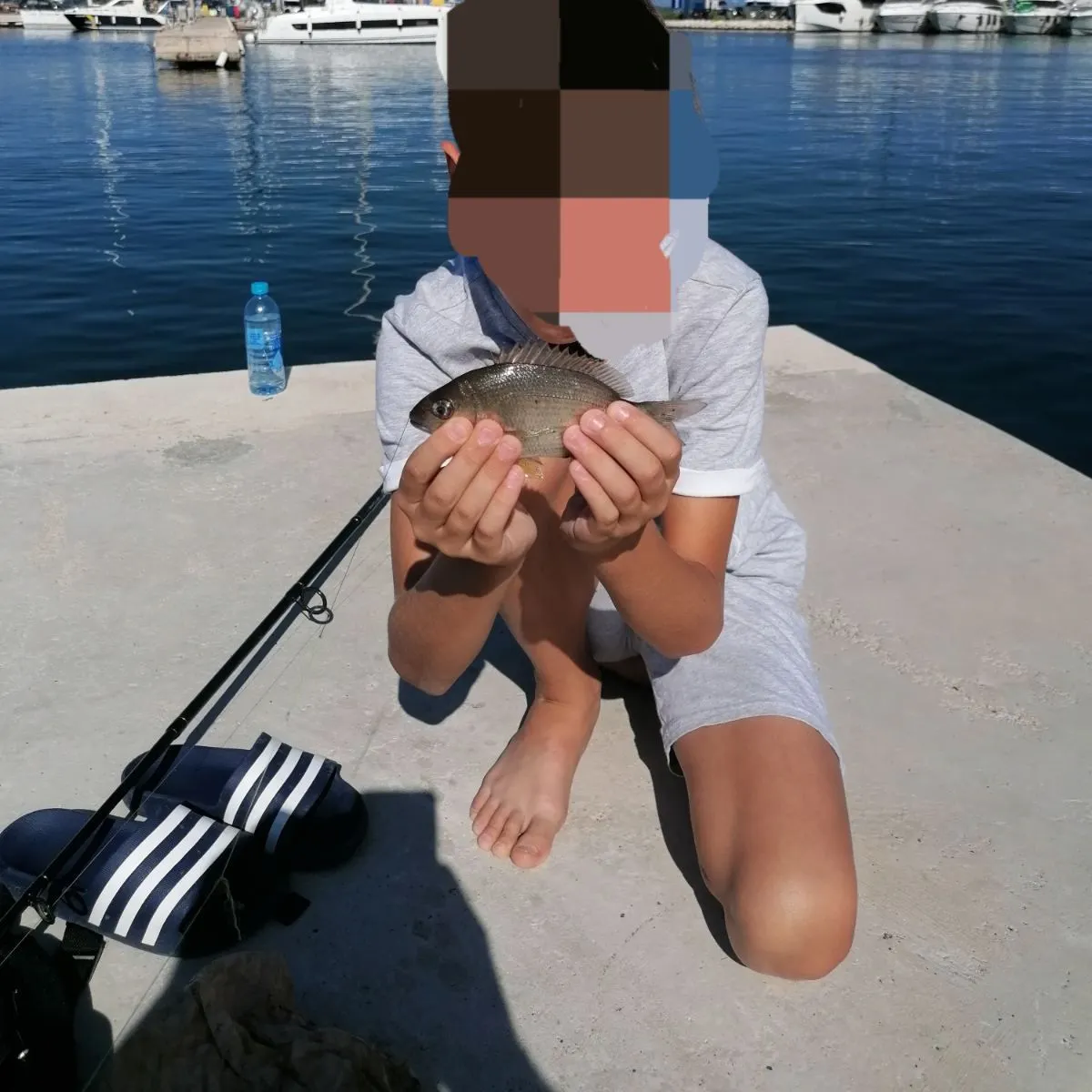 Fish caught on Fishbrain