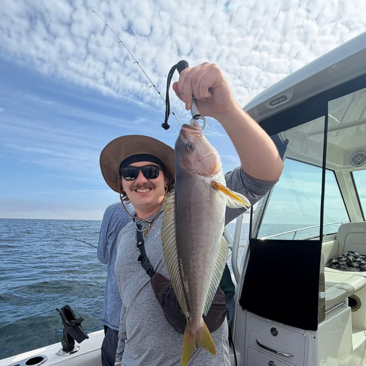 The most recent Ocean whitefish catches on Fishbrain
