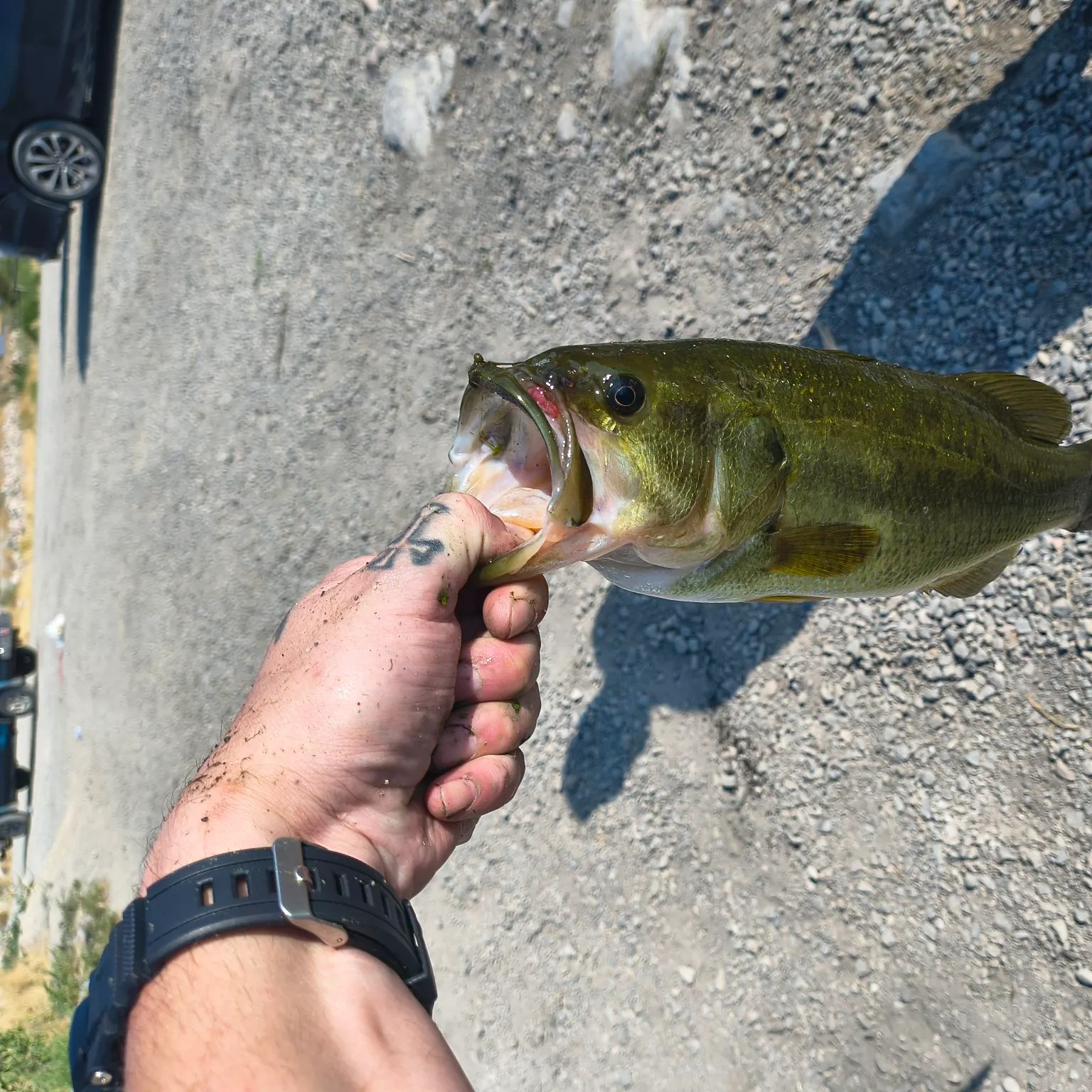 catch