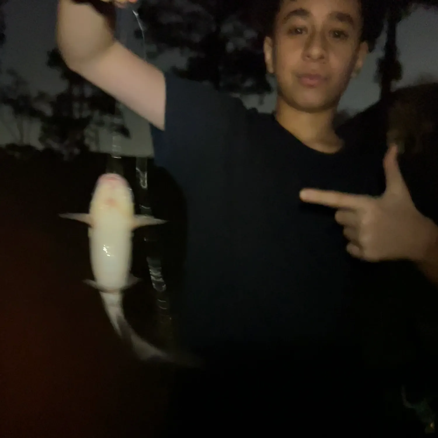 The most recent Channel catfish catches on Fishbrain