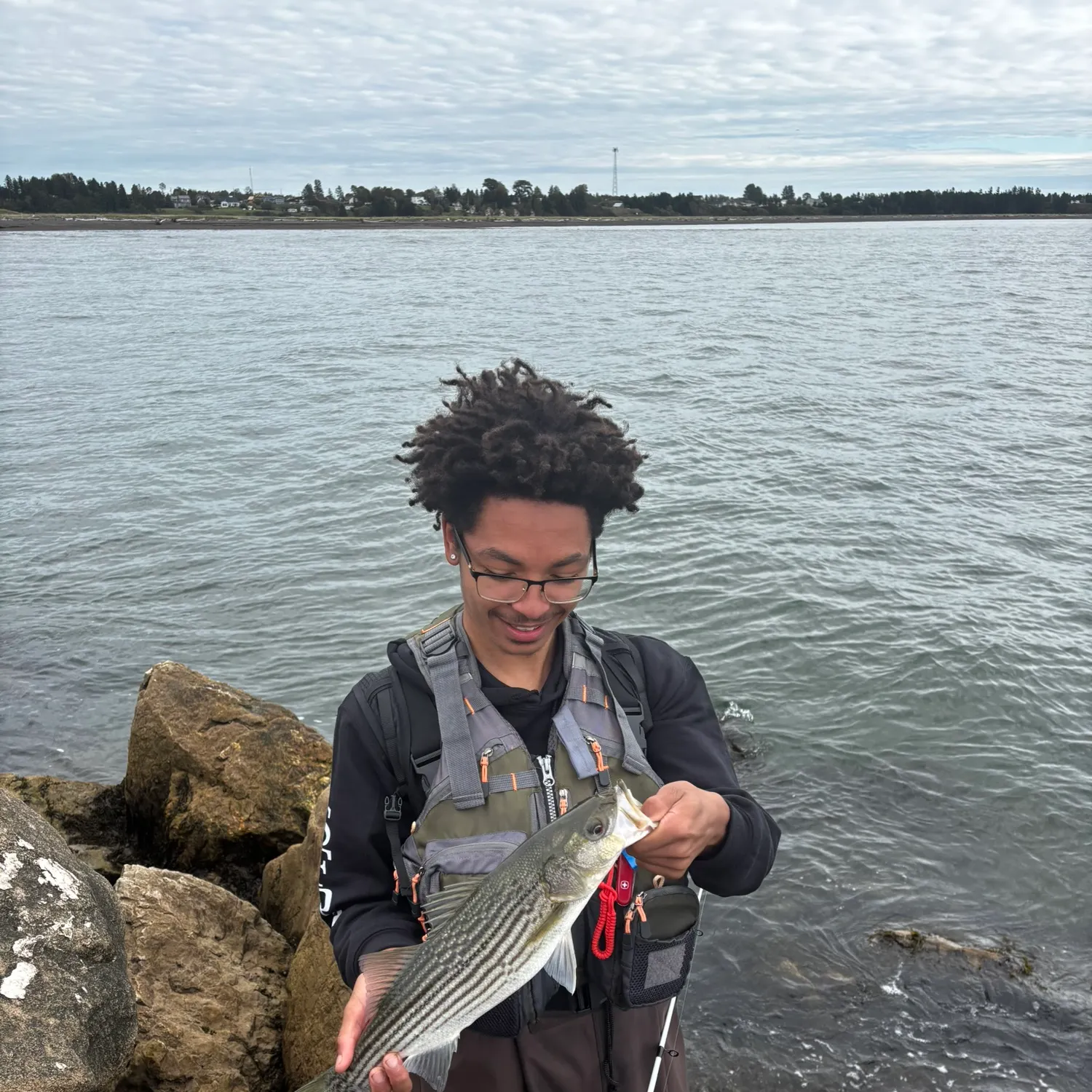 Striped bass caught on Fishbrain
