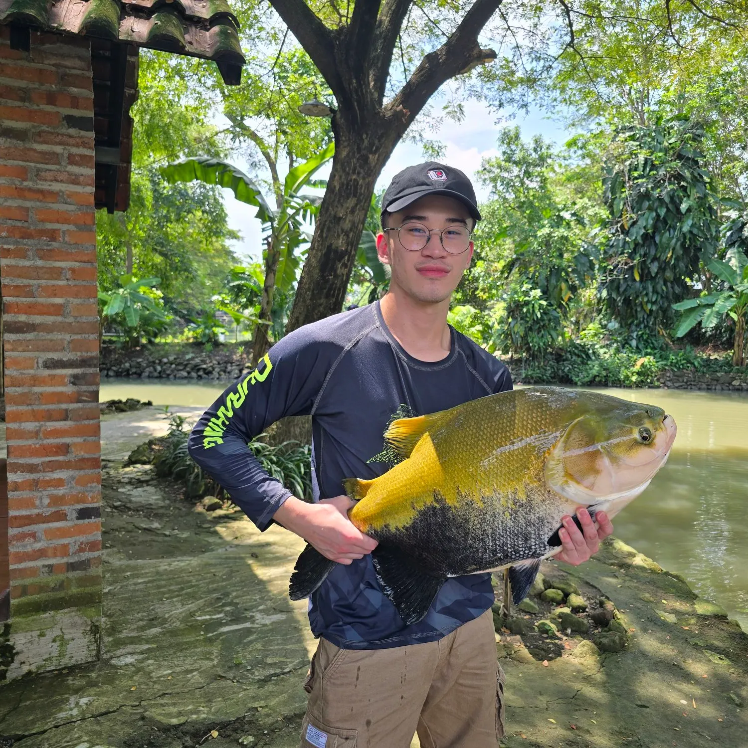 The most recent Black pacu catches on Fishbrain