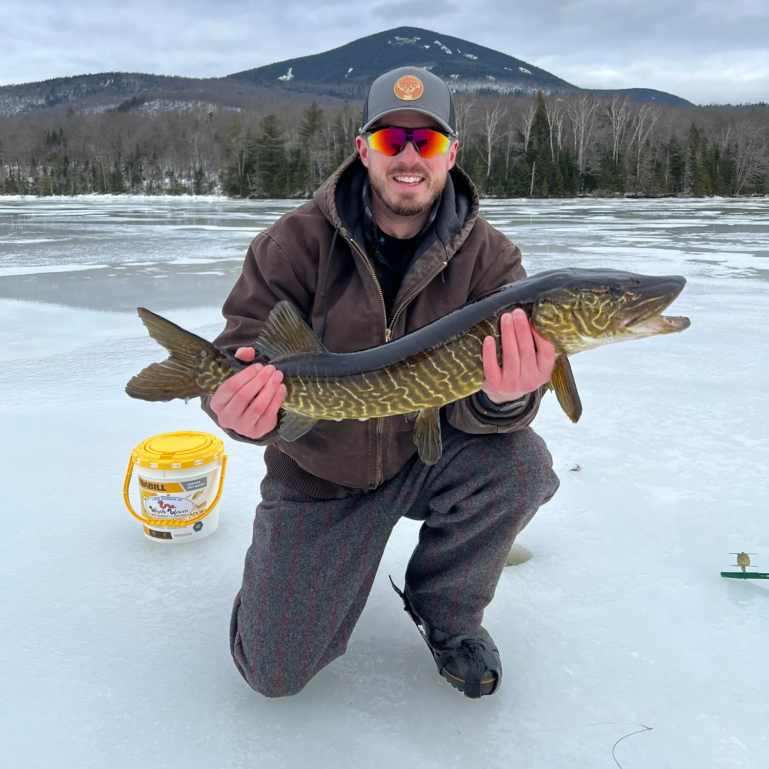 The most recent Tiger muskellunge catches on Fishbrain