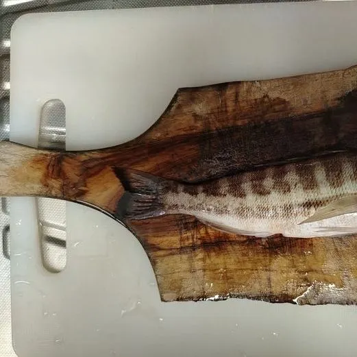 The most recent Comber catches on Fishbrain
