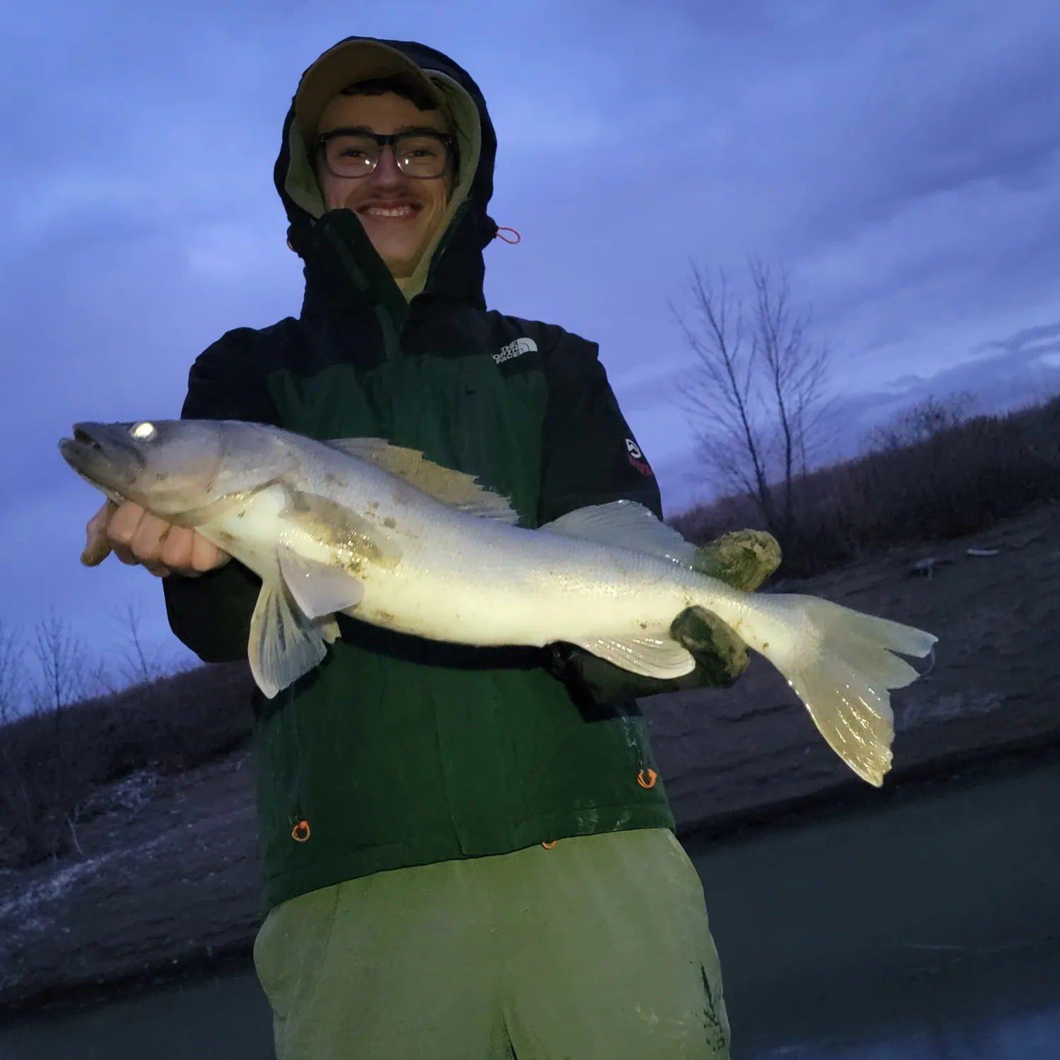 The most recent Walleye catches on Fishbrain