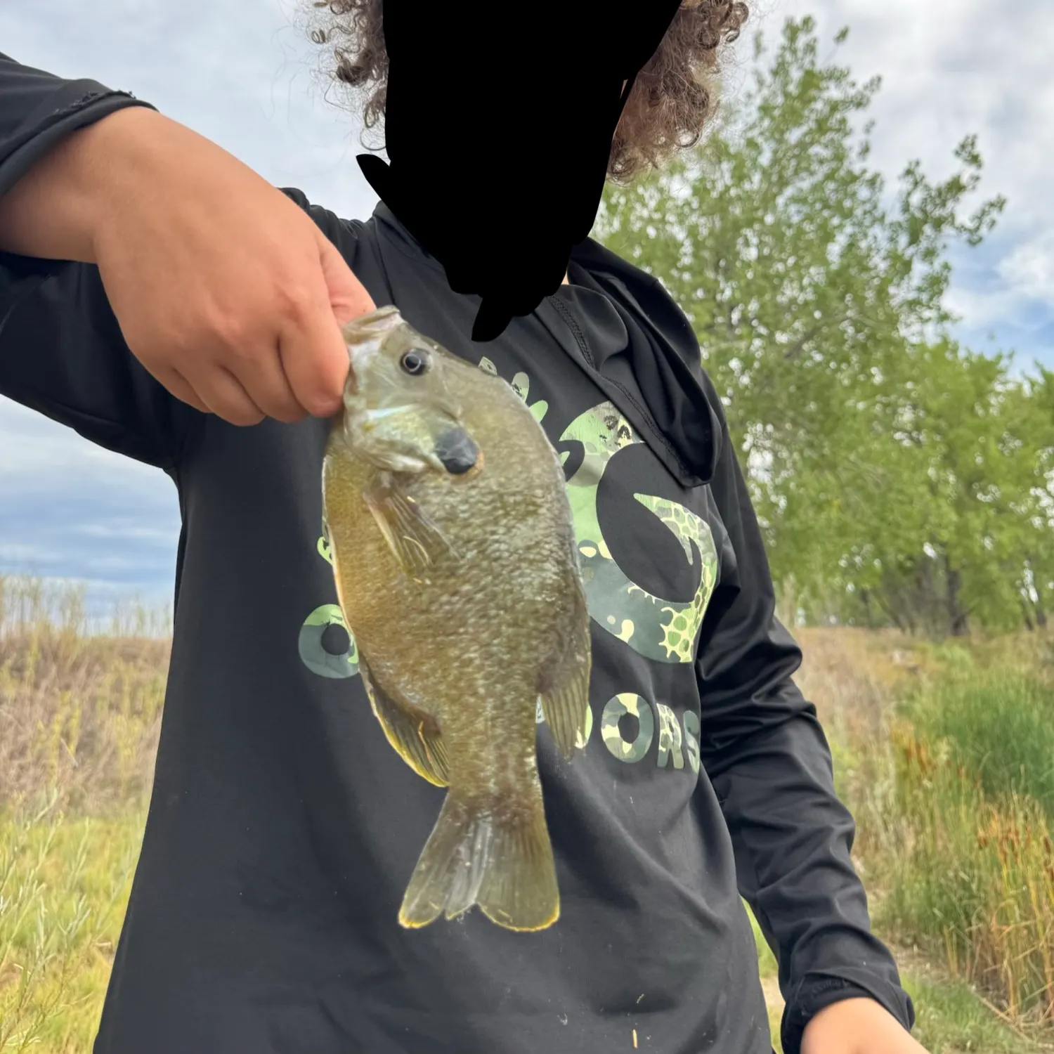 Bluegill caught on Fishbrain