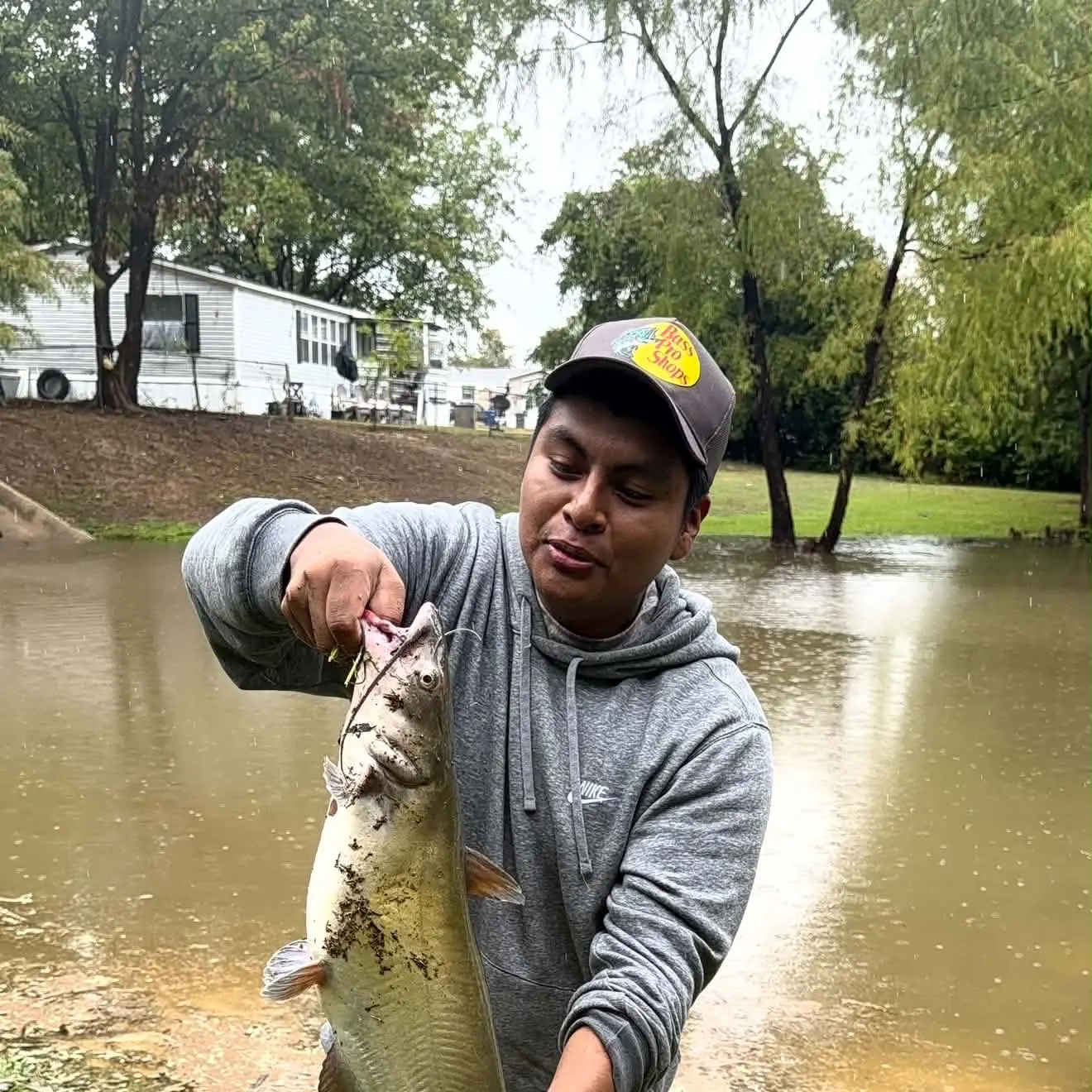 Channel catfish caught on Fishbrain