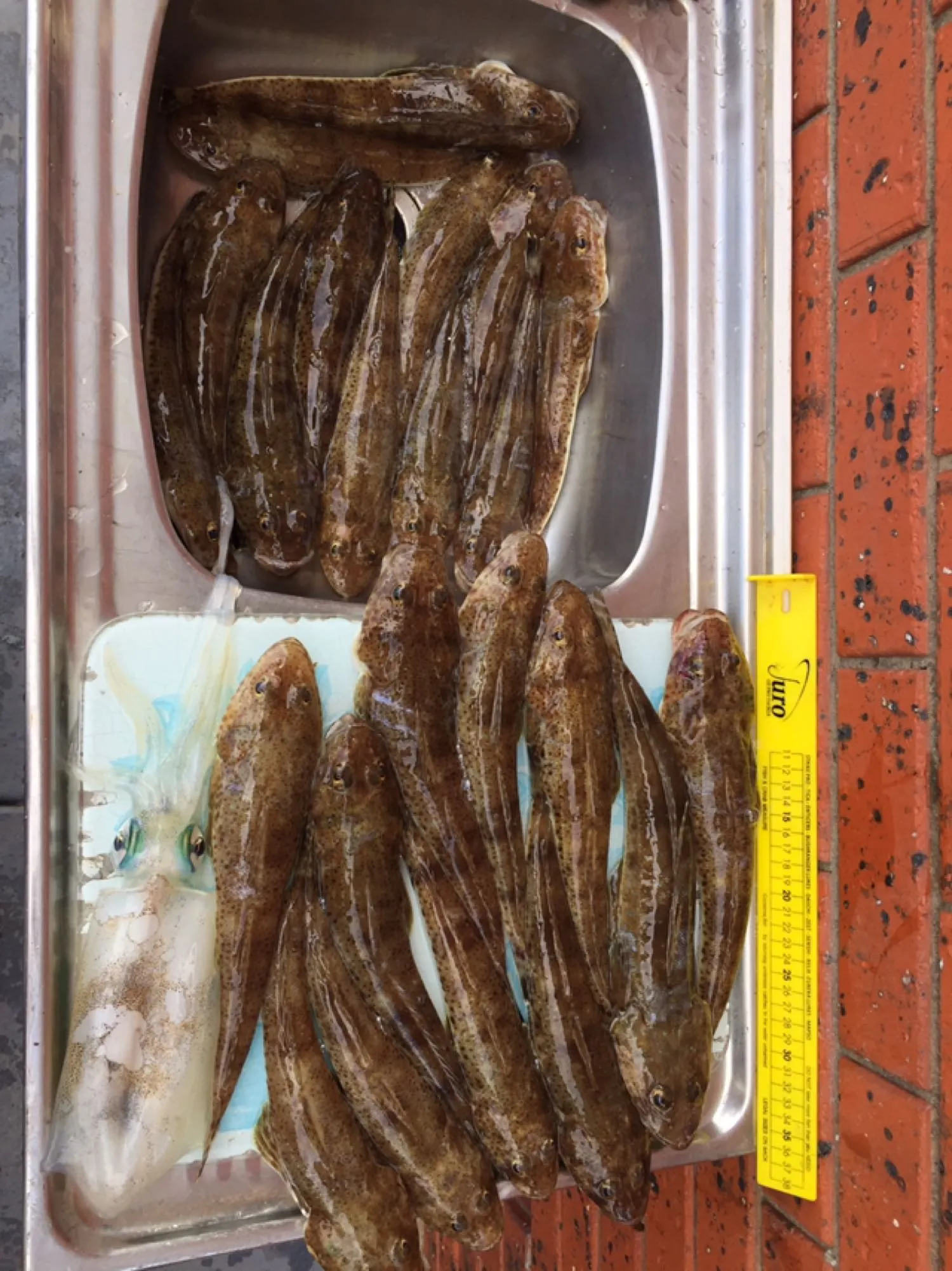 Post image from tkirkovski