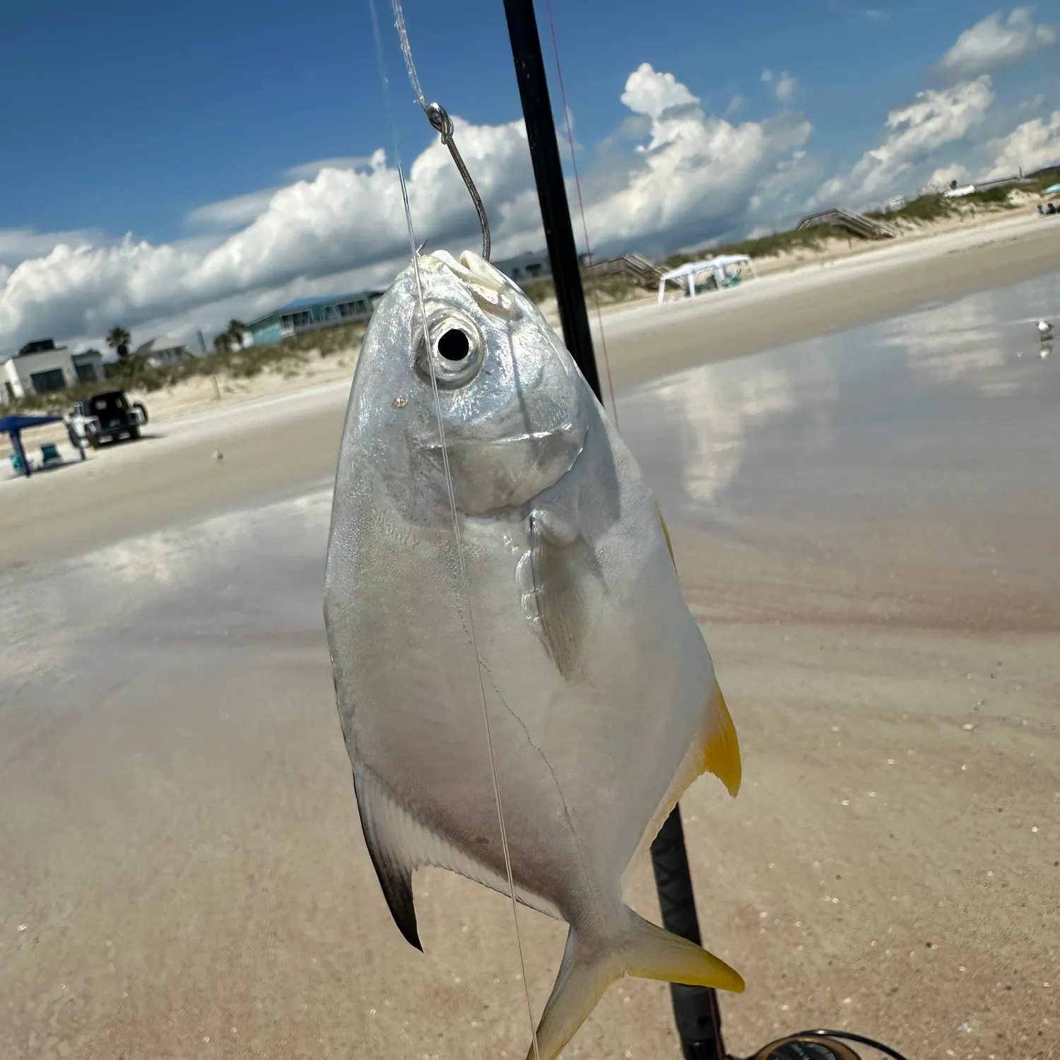 The most recent Florida pompano catches on Fishbrain