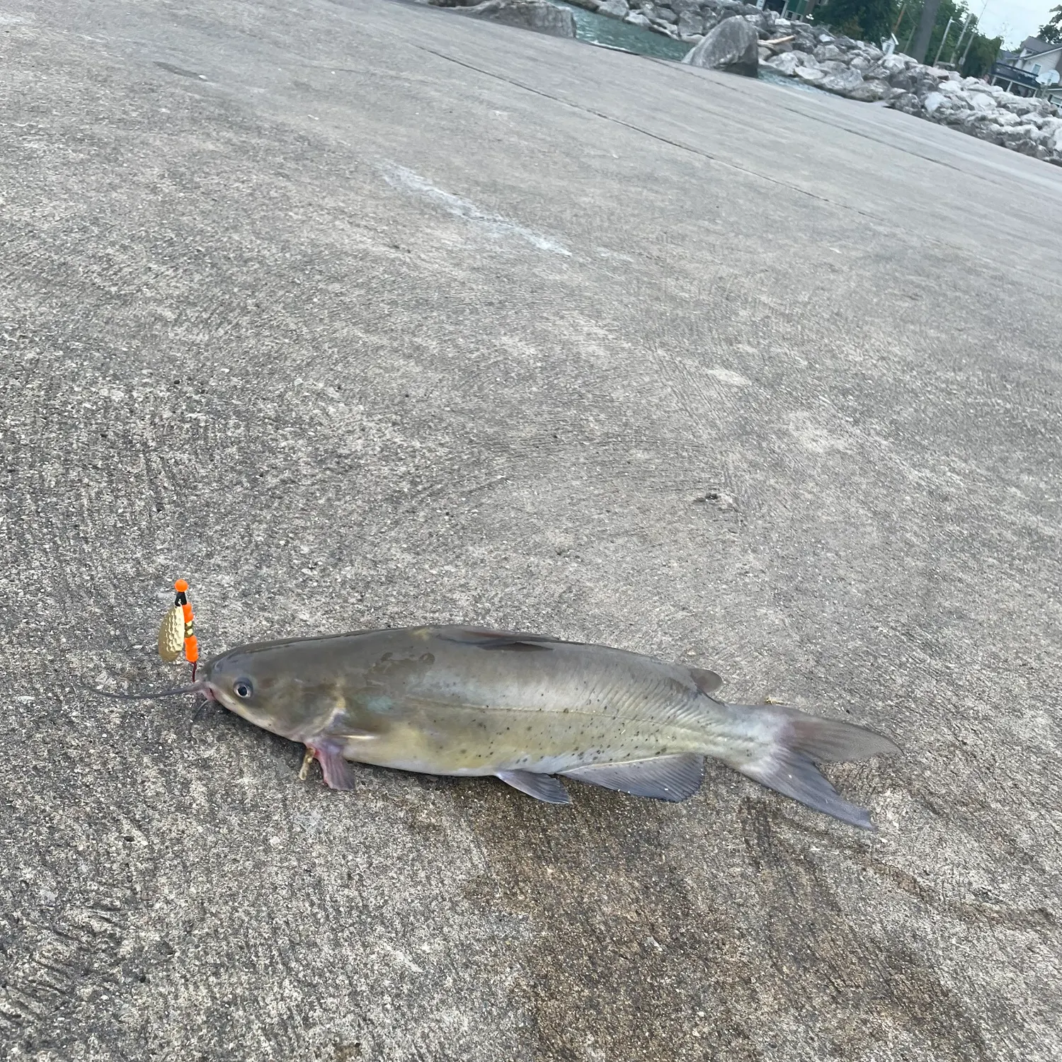 catch