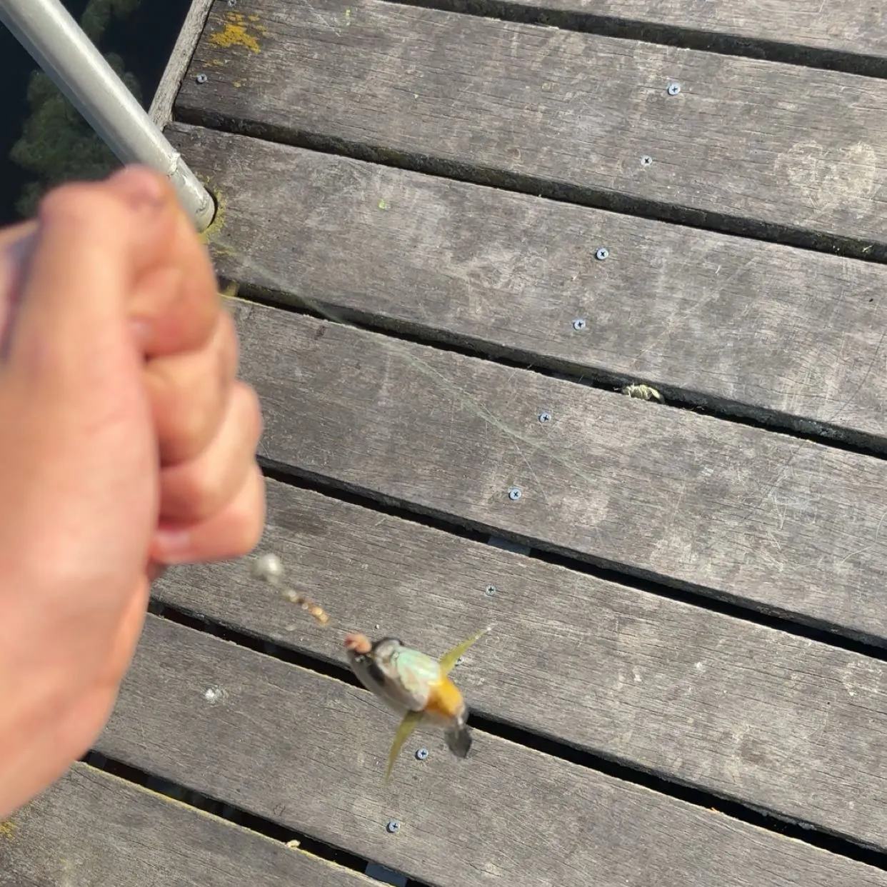 catch