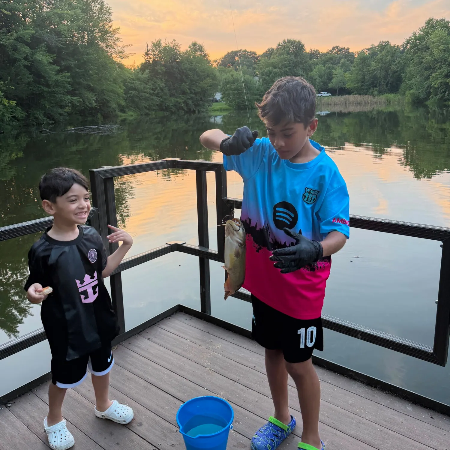The most recent Hardhead sea catfish catches on Fishbrain