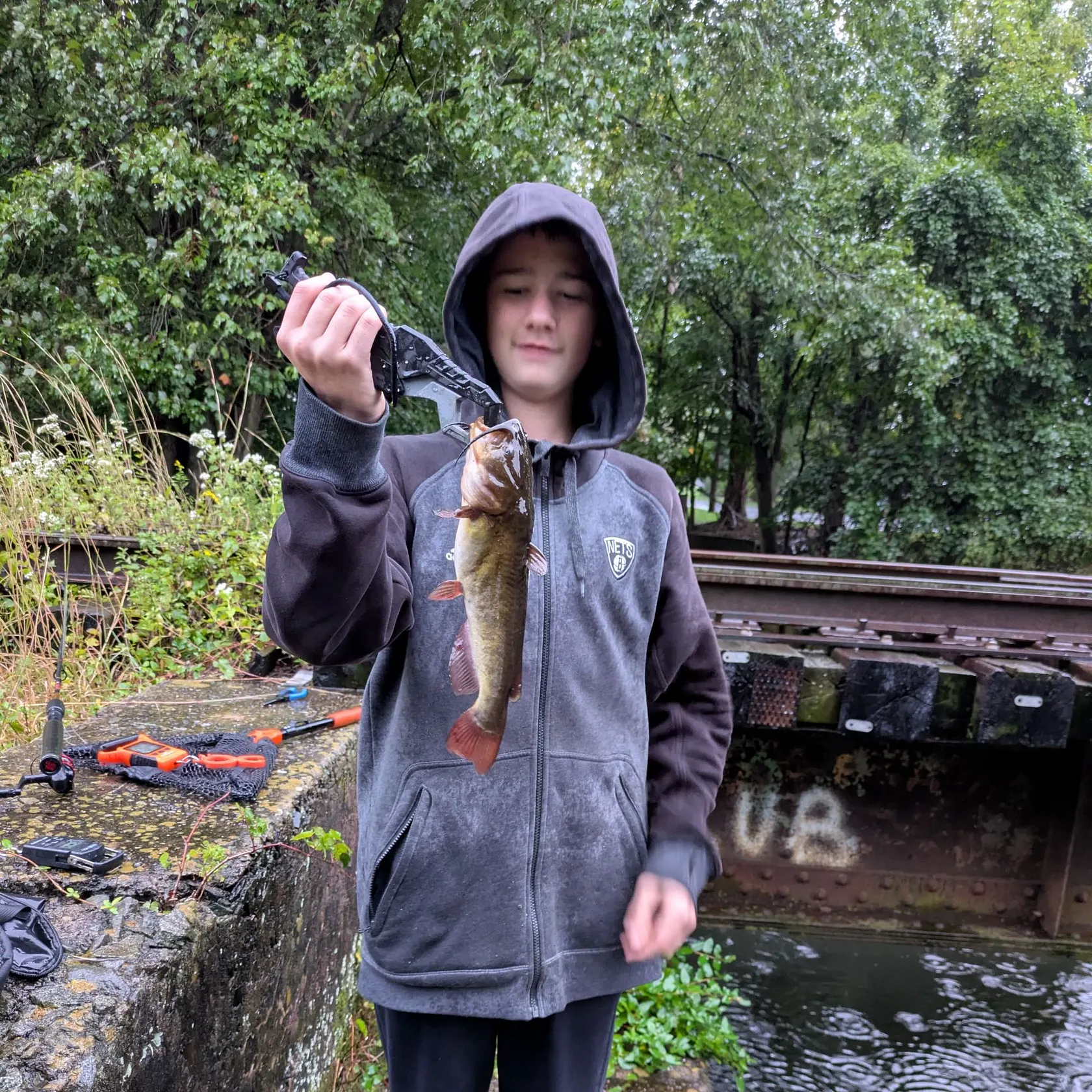 Yellow bullhead caught on Fishbrain