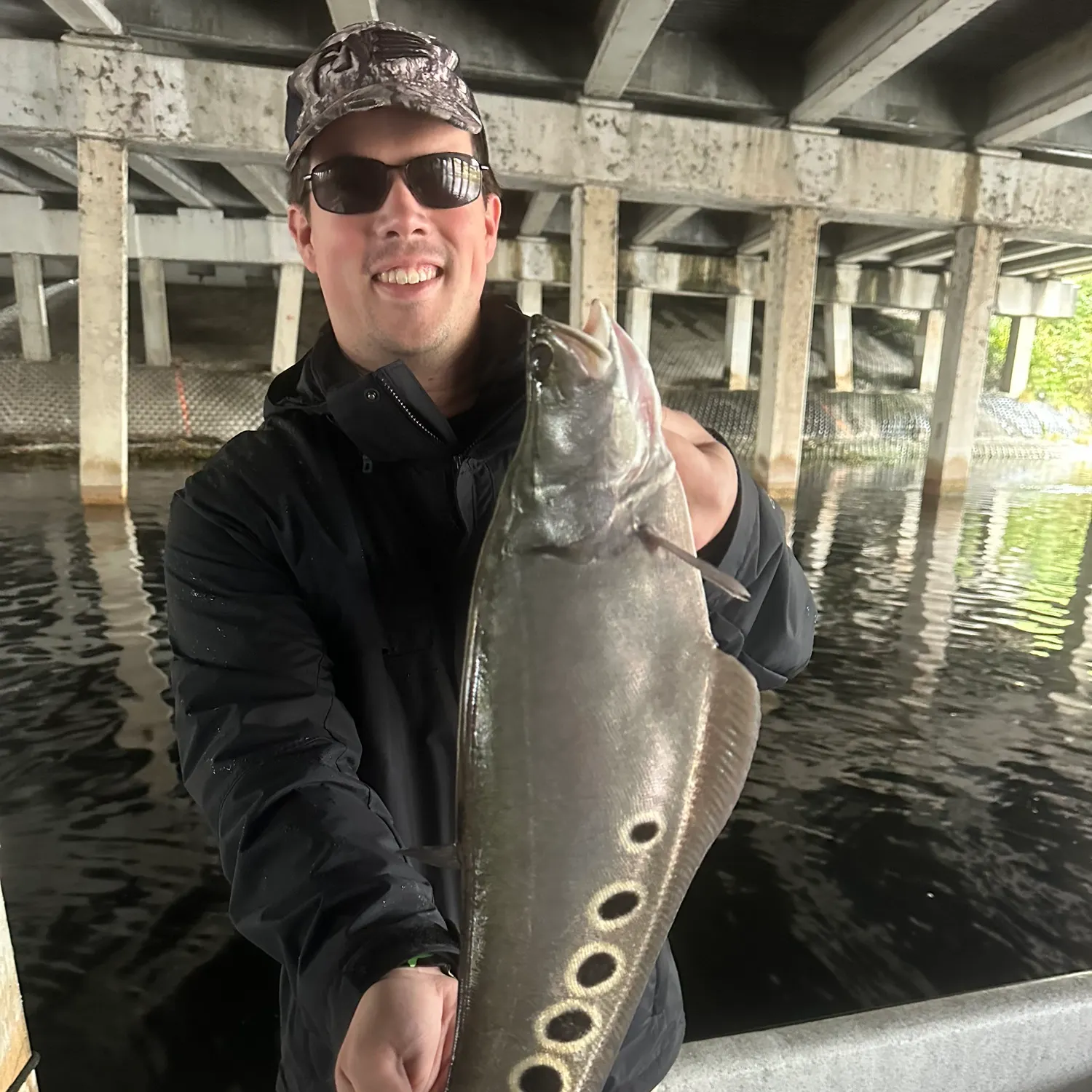 The most recent Clown knifefish catches on Fishbrain
