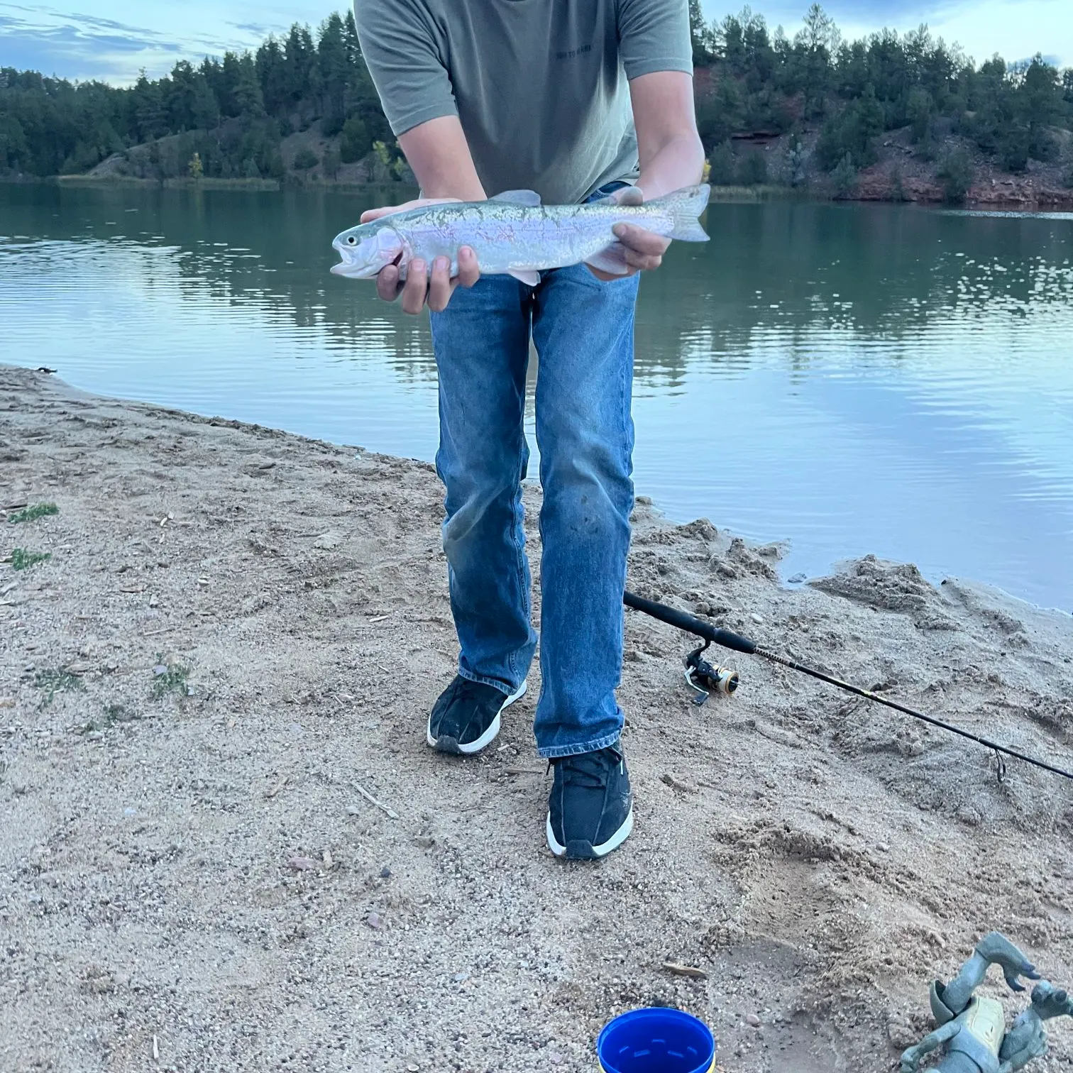 Rainbow trout caught on Fishbrain