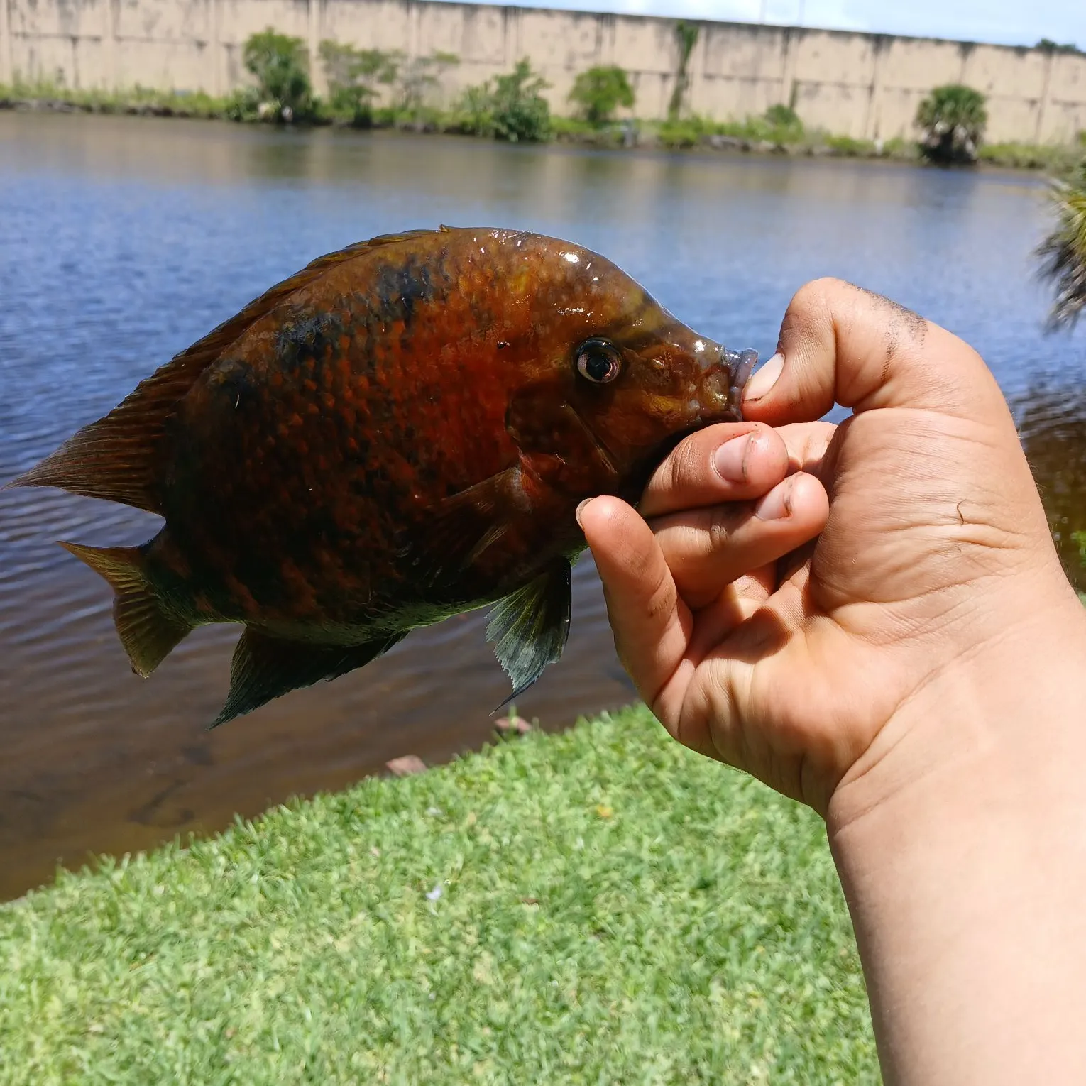 catch
