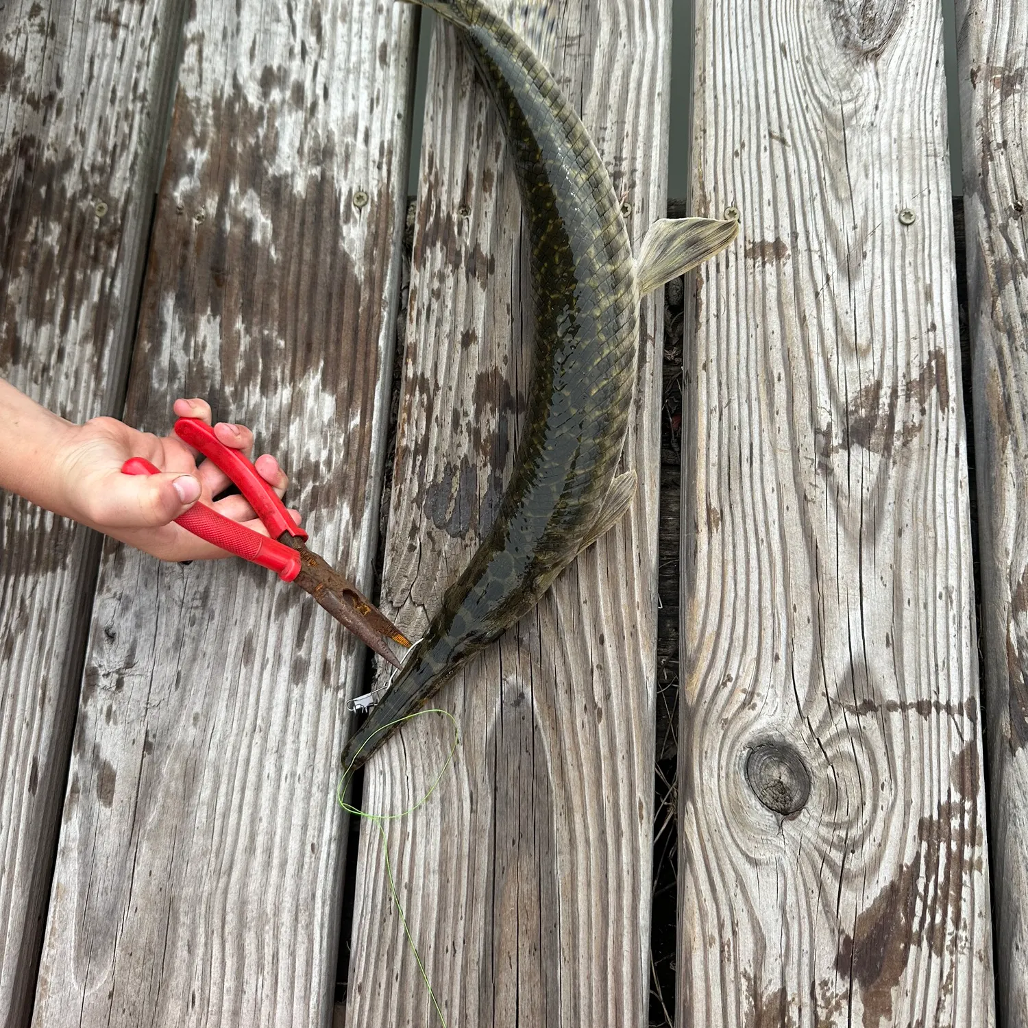 catch