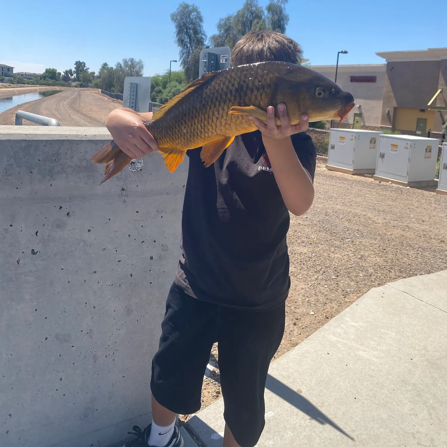 most liked catch image