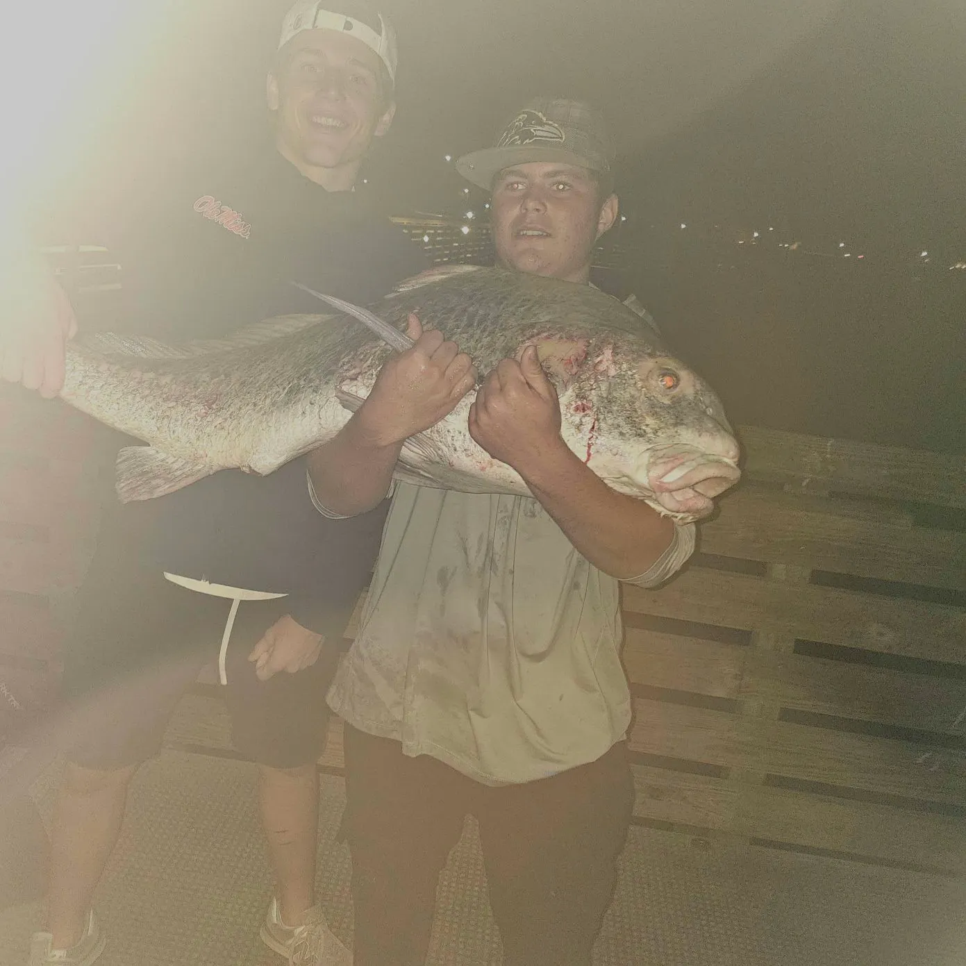 Black drum caught on Fishbrain
