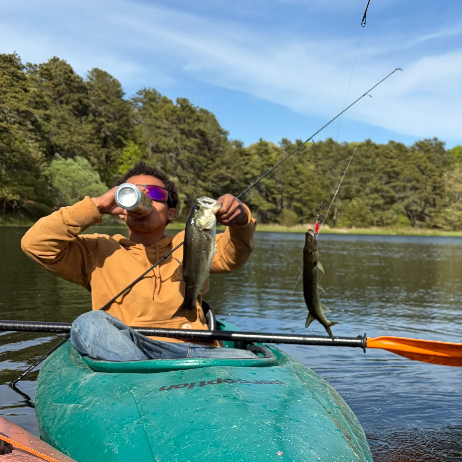recently logged catches