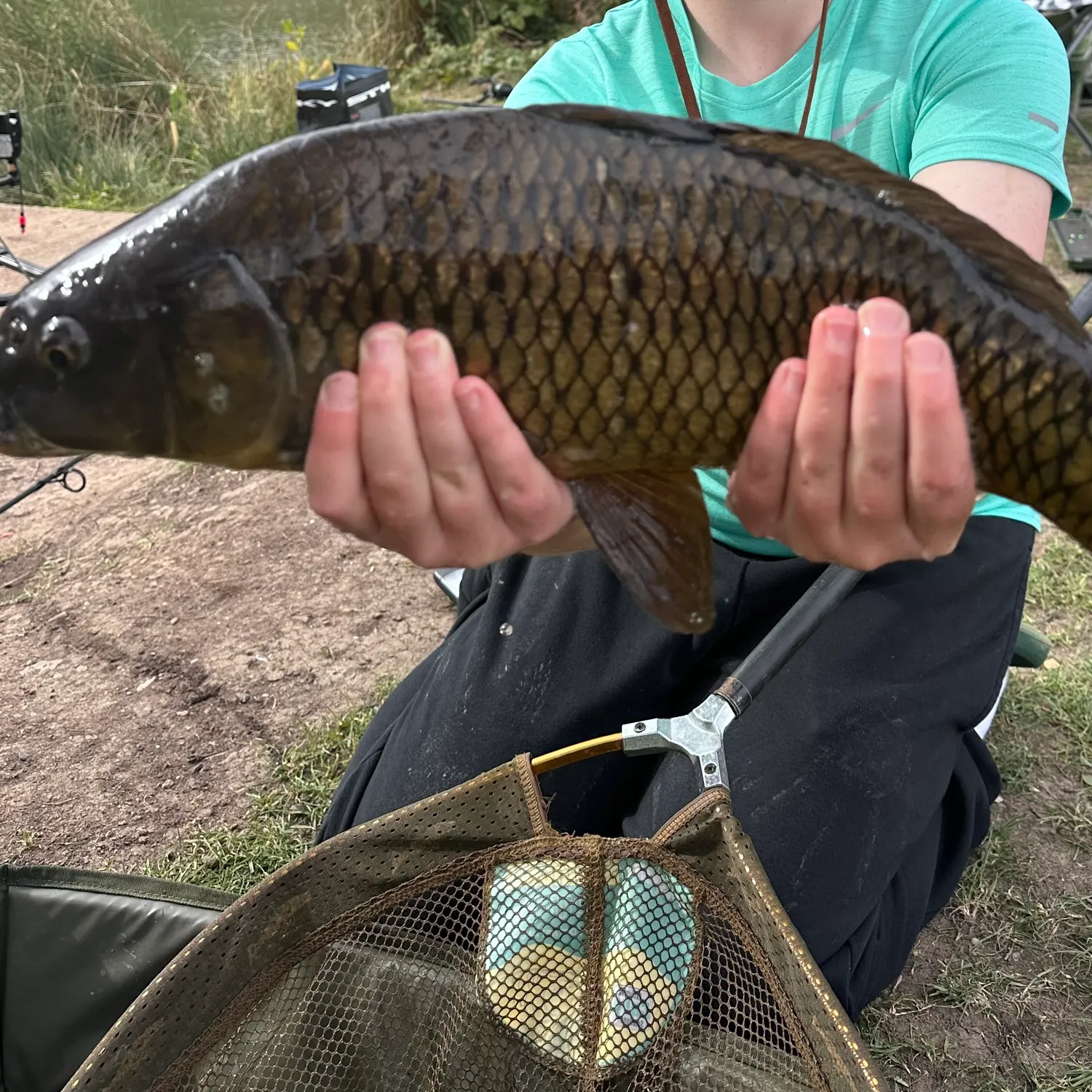 Common carp caught on Fishbrain
