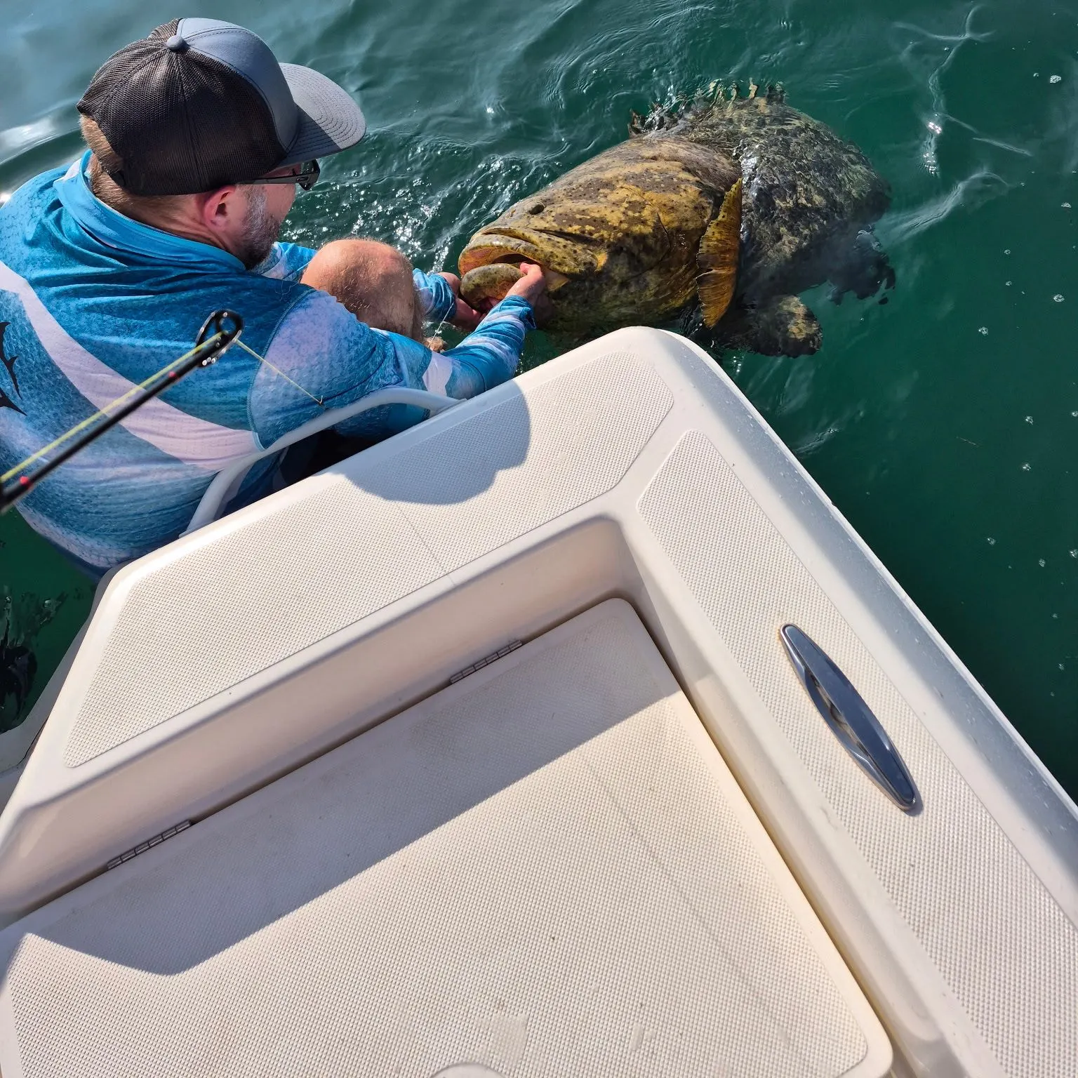 The most recent Atlantic goliath grouper catches on Fishbrain