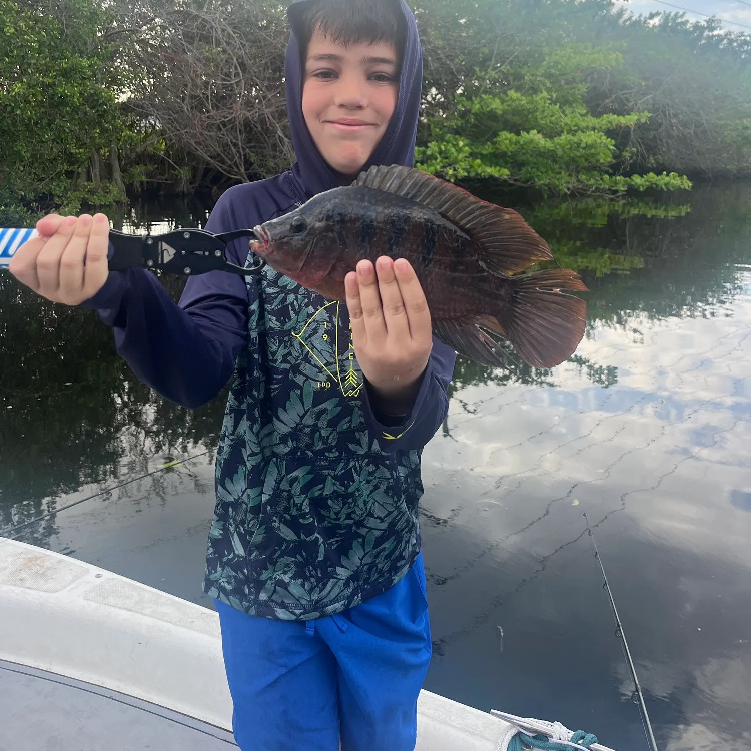 The most recent Mayan cichlid catches on Fishbrain