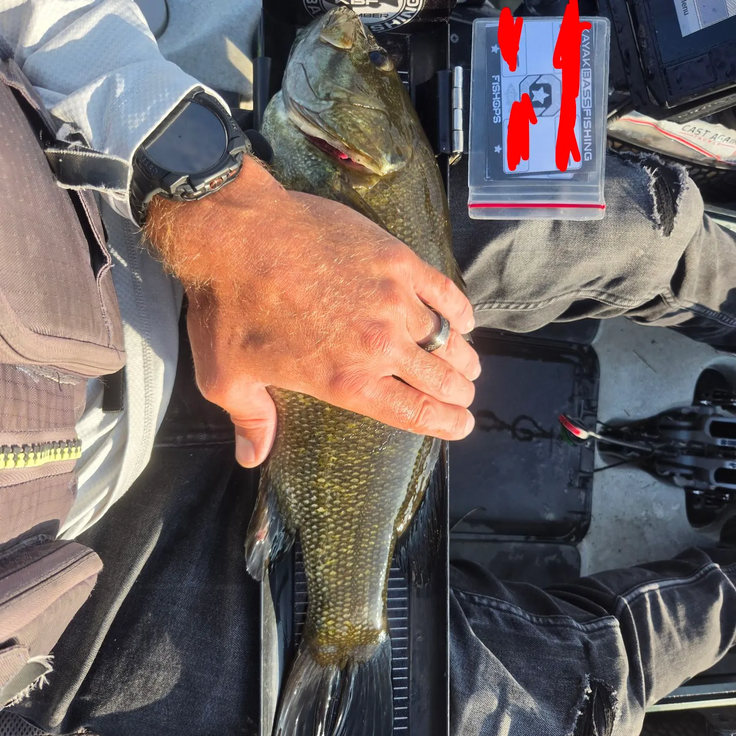 Smallmouth bass caught on Fishbrain