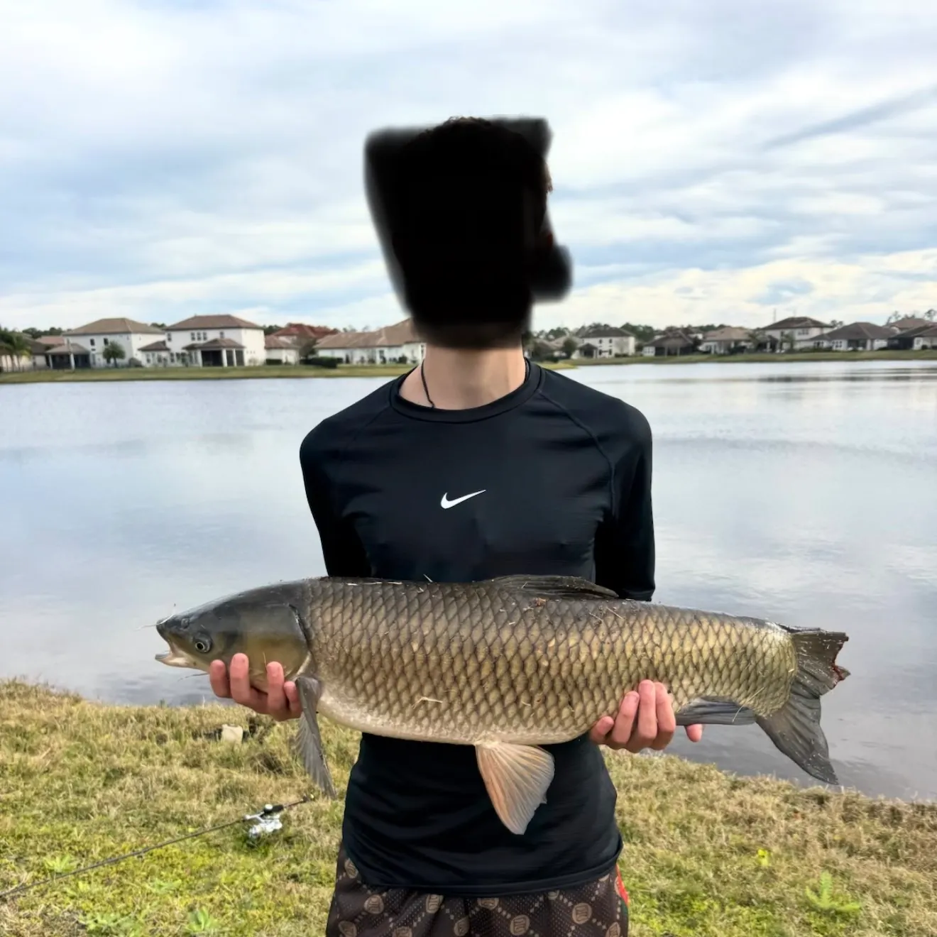 The most recent Grass carp catches on Fishbrain