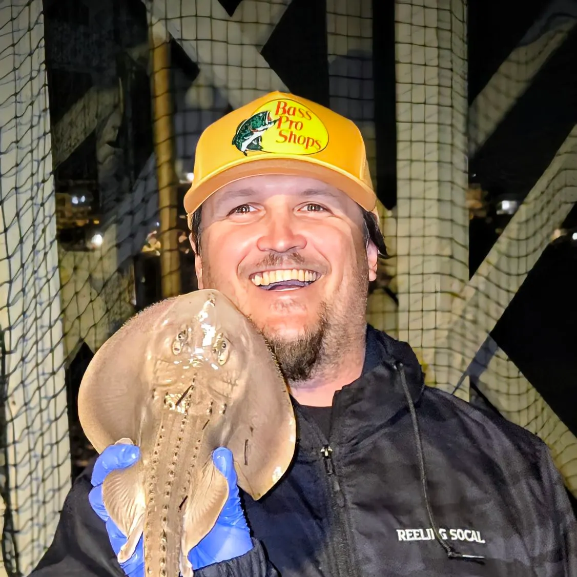 The most recent Thornback guitarfish catches on Fishbrain