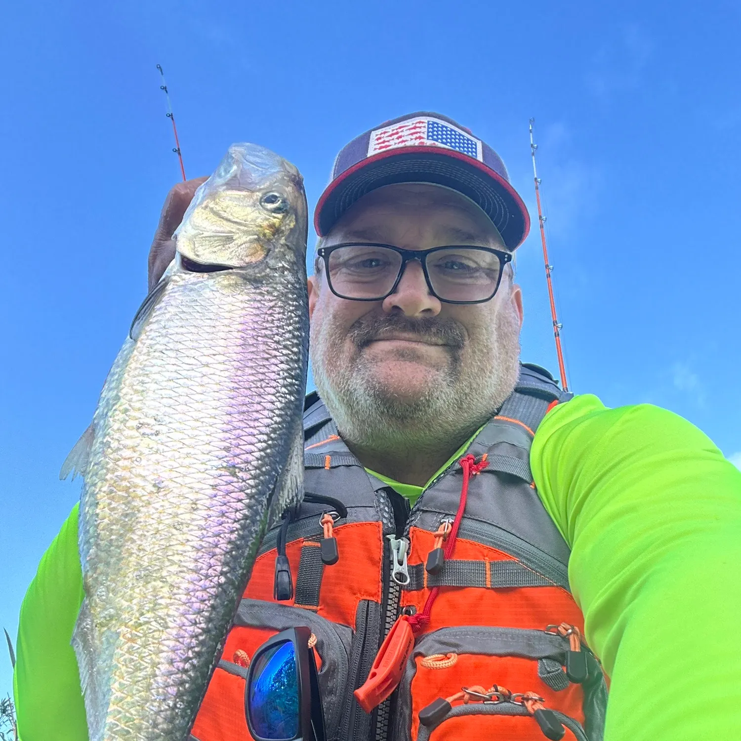 The most recent American shad catches on Fishbrain
