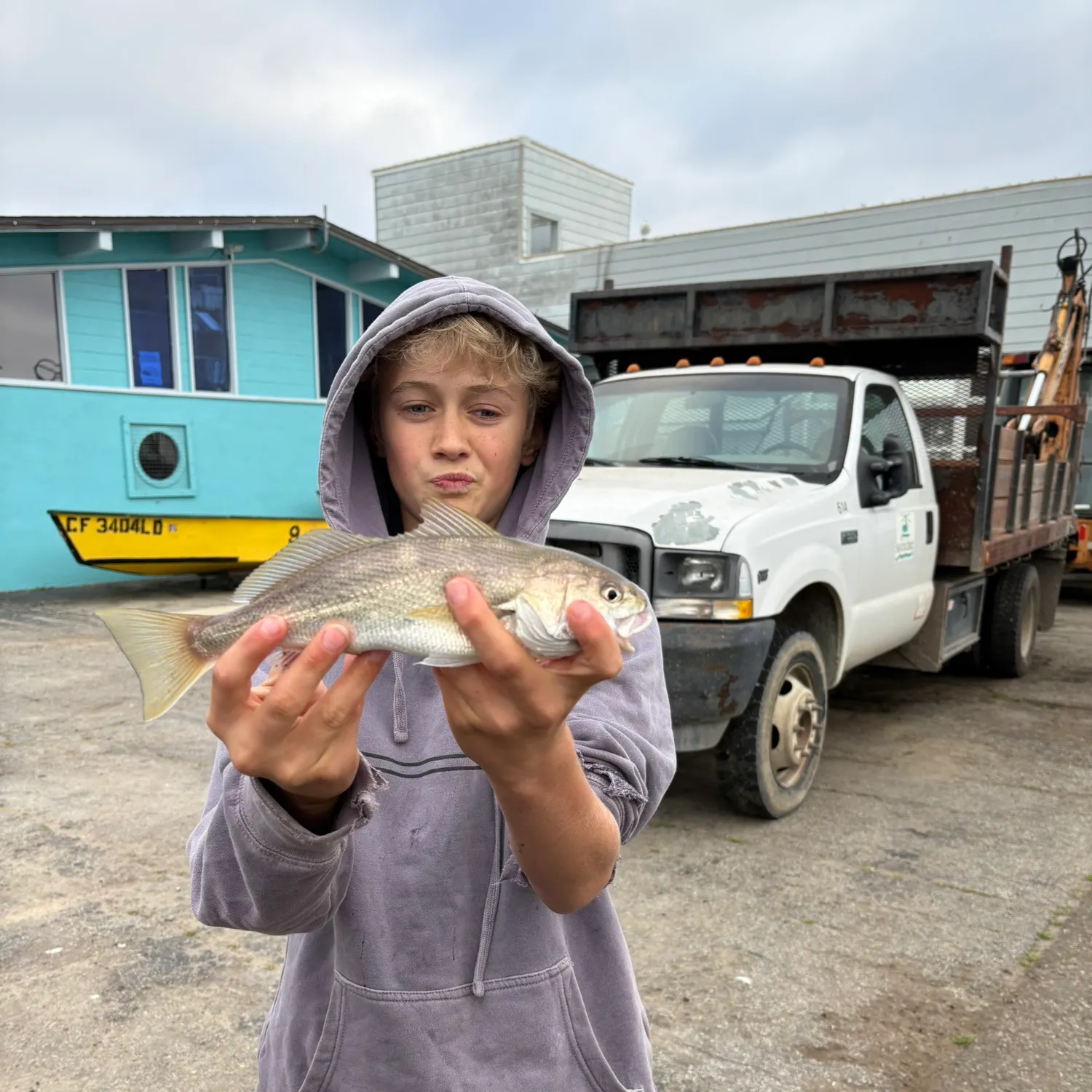 The most recent White croaker catches on Fishbrain