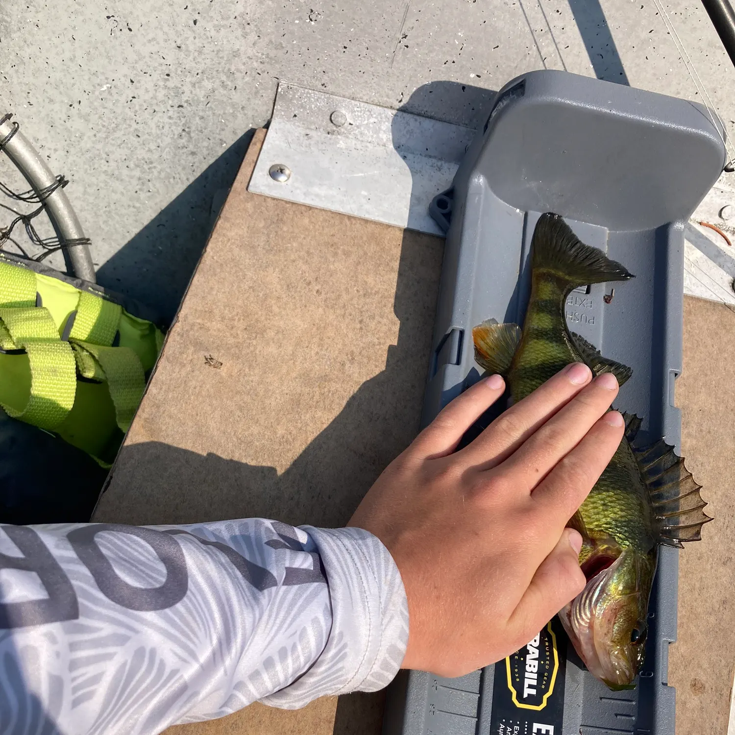 catch