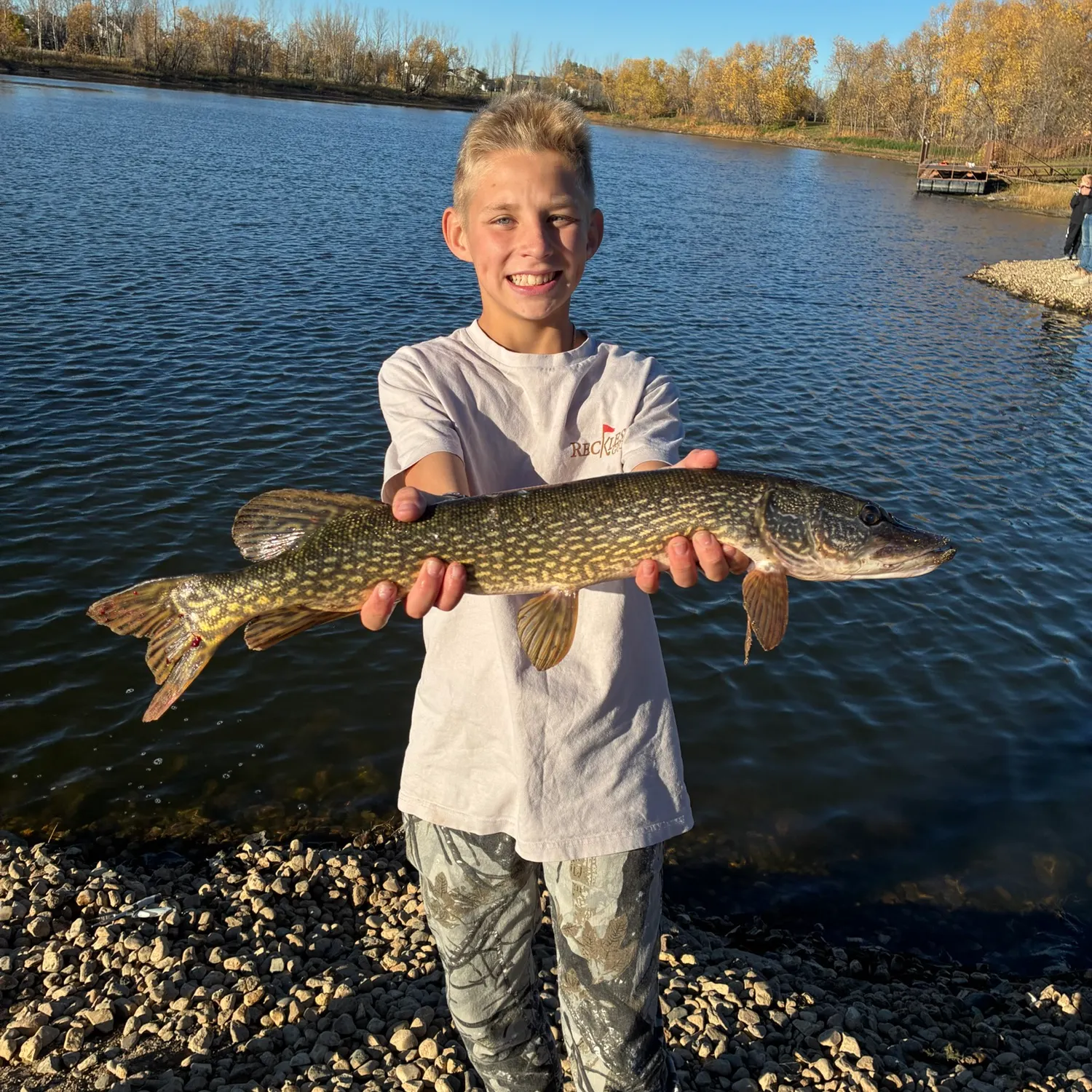 The most recent Northern pike catches on Fishbrain
