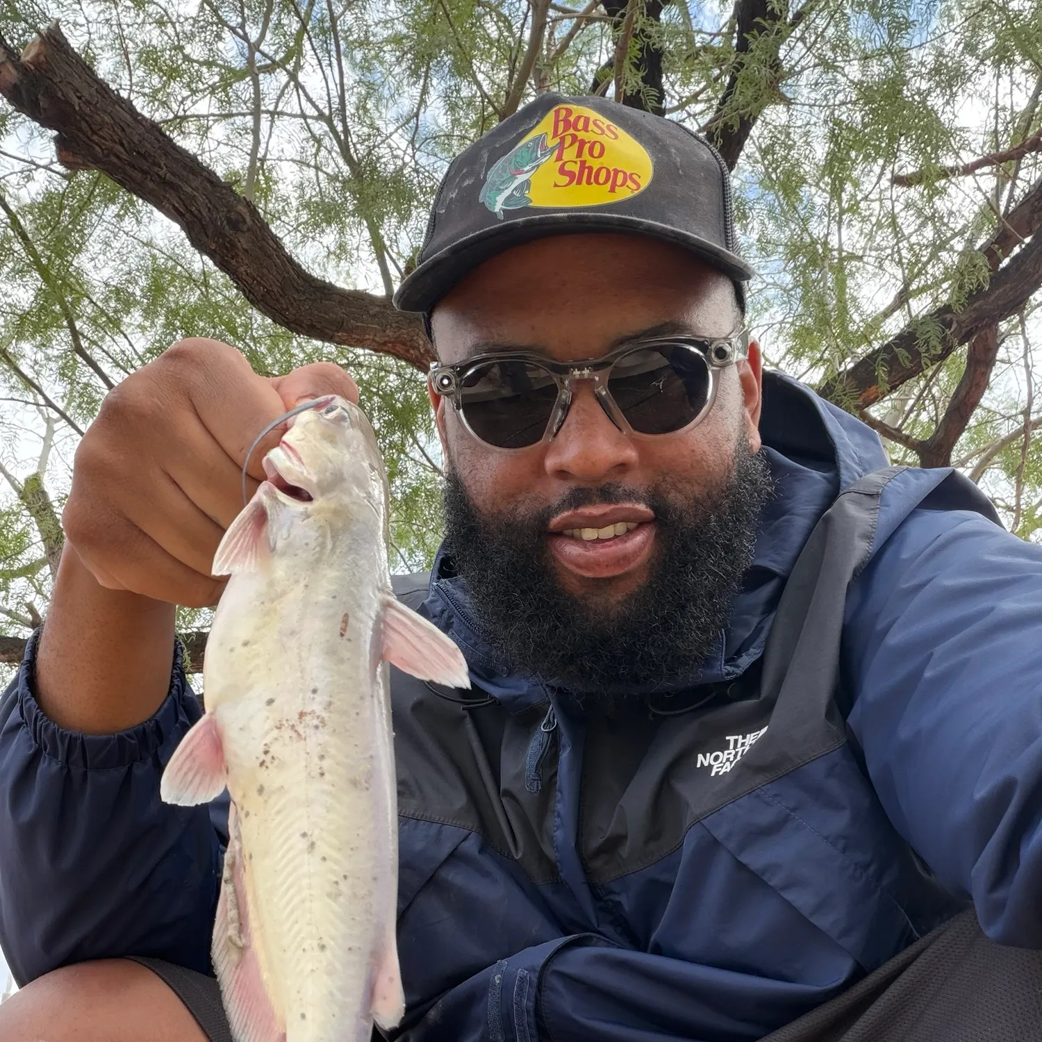 Channel catfish caught on Fishbrain