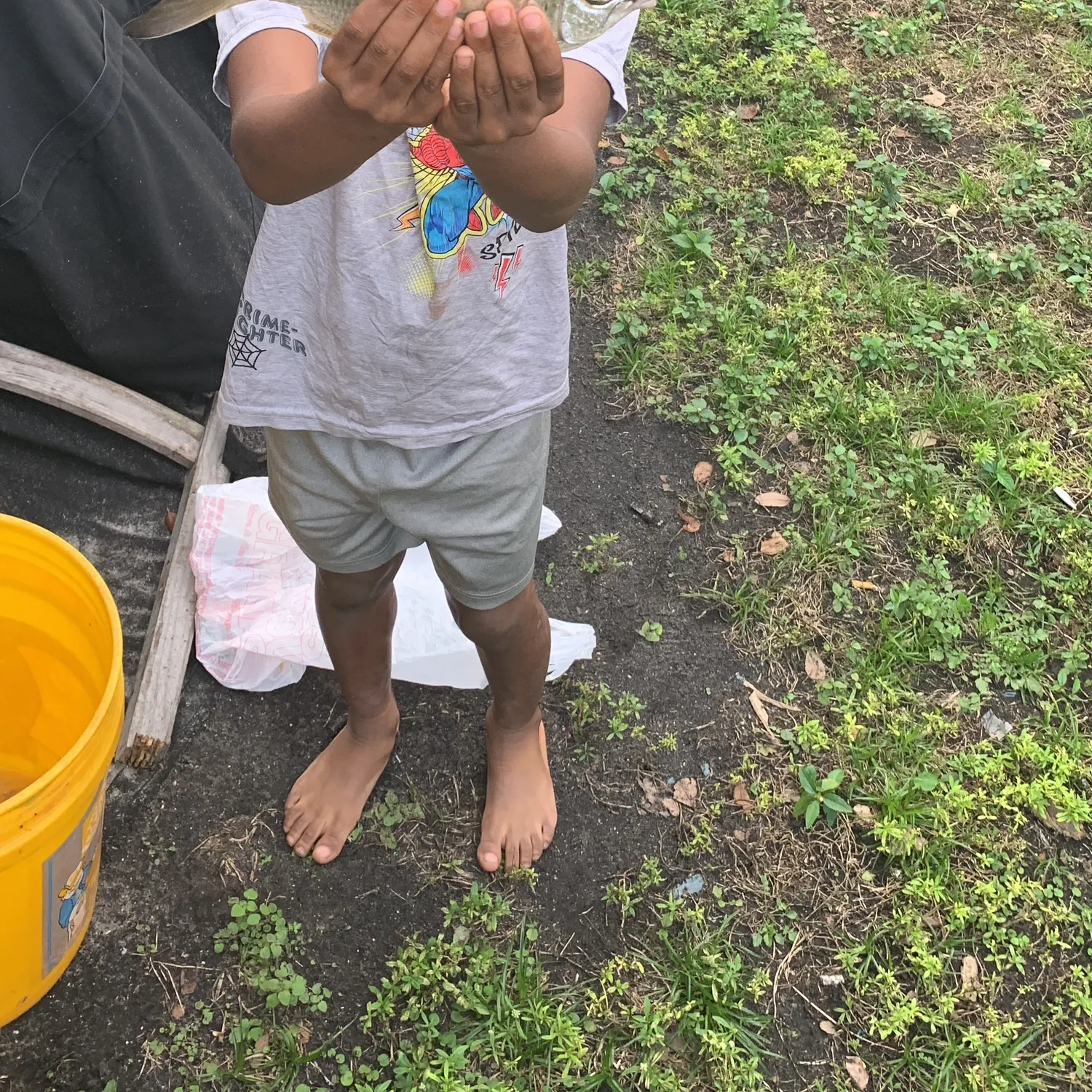 The most recent White seabream catches on Fishbrain