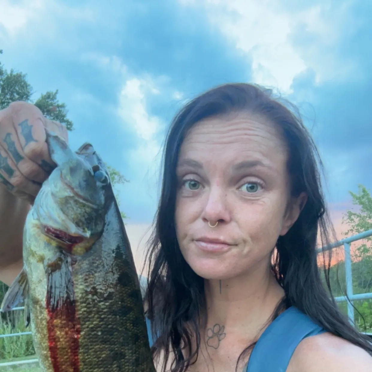 Smallmouth bass caught on Fishbrain