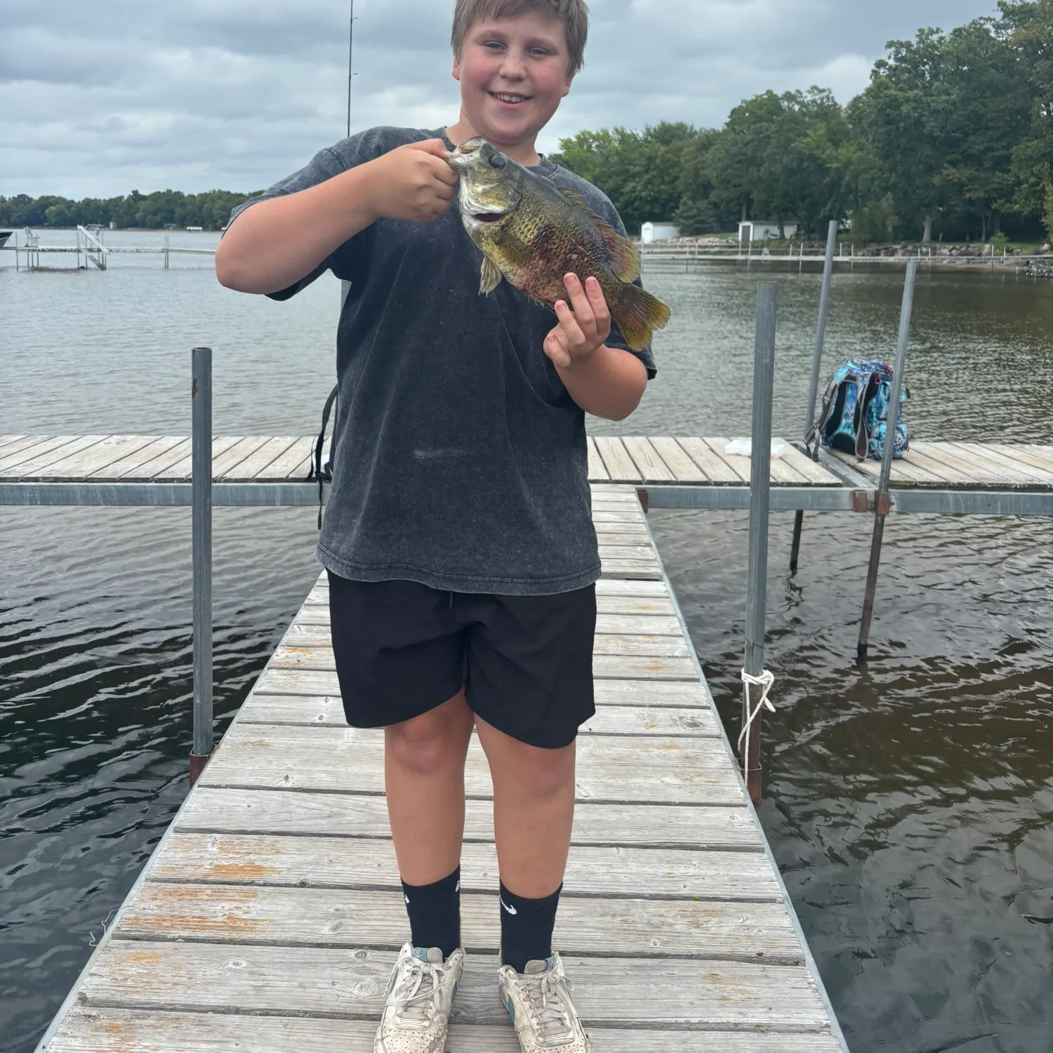 Rock bass caught on Fishbrain
