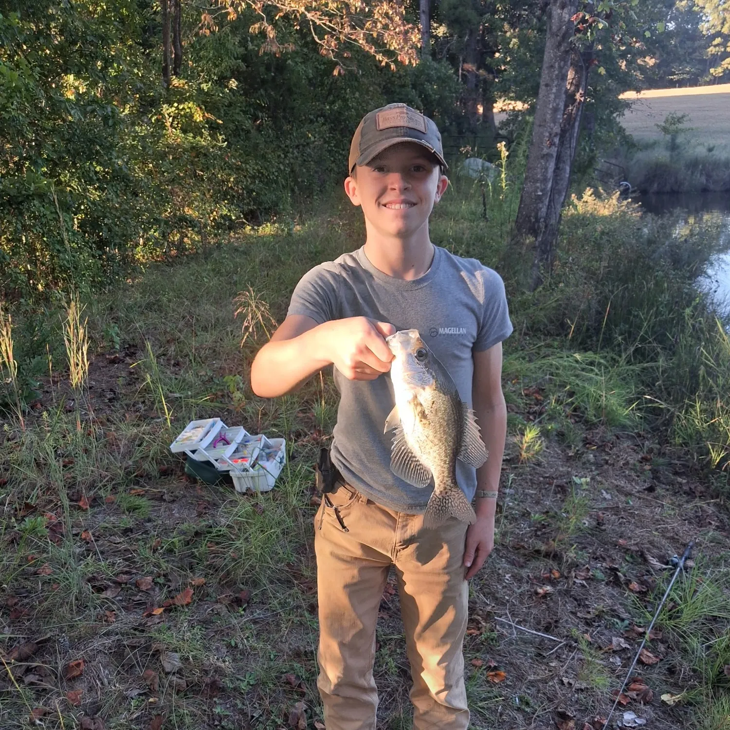 Black crappie caught on Fishbrain