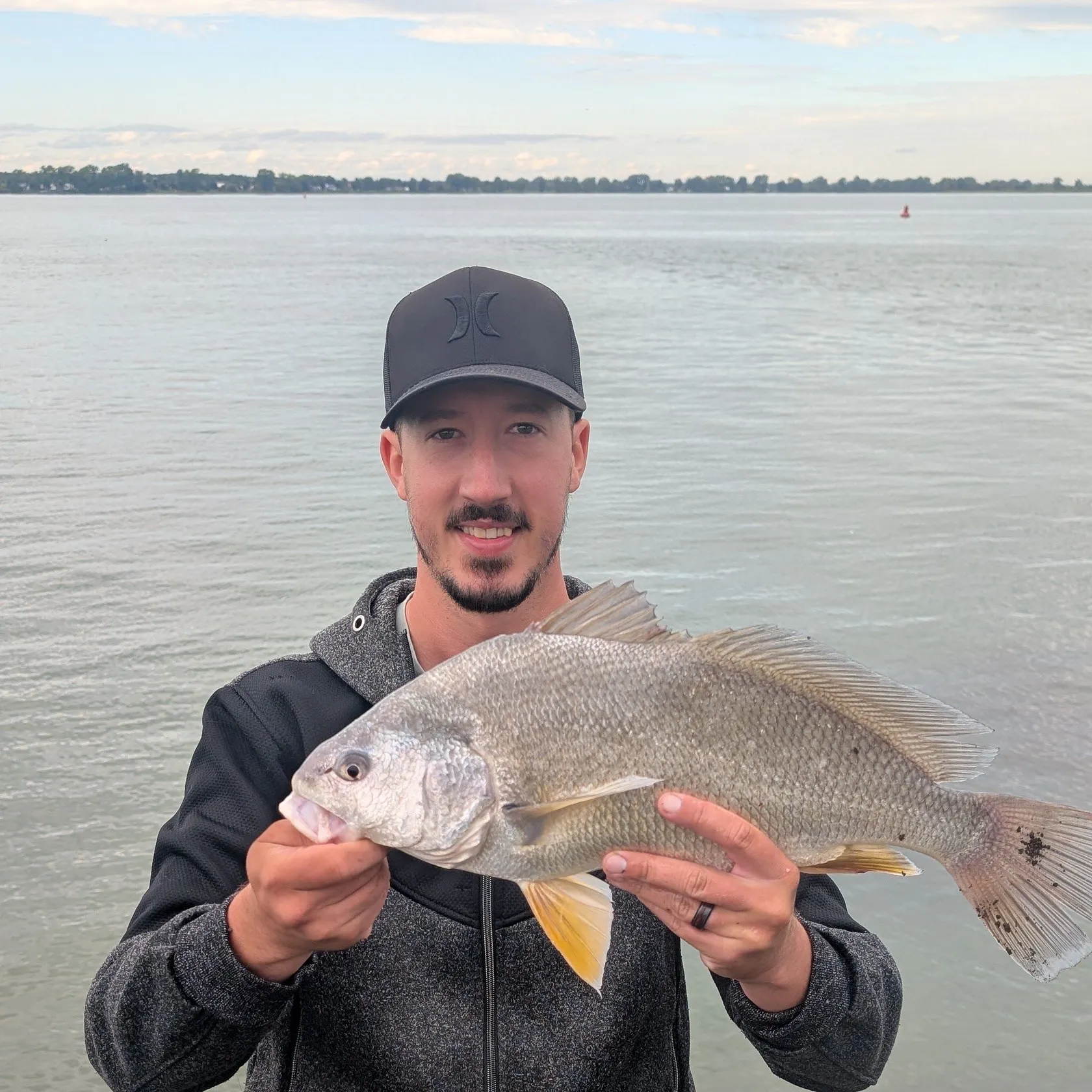 Freshwater drum caught on Fishbrain
