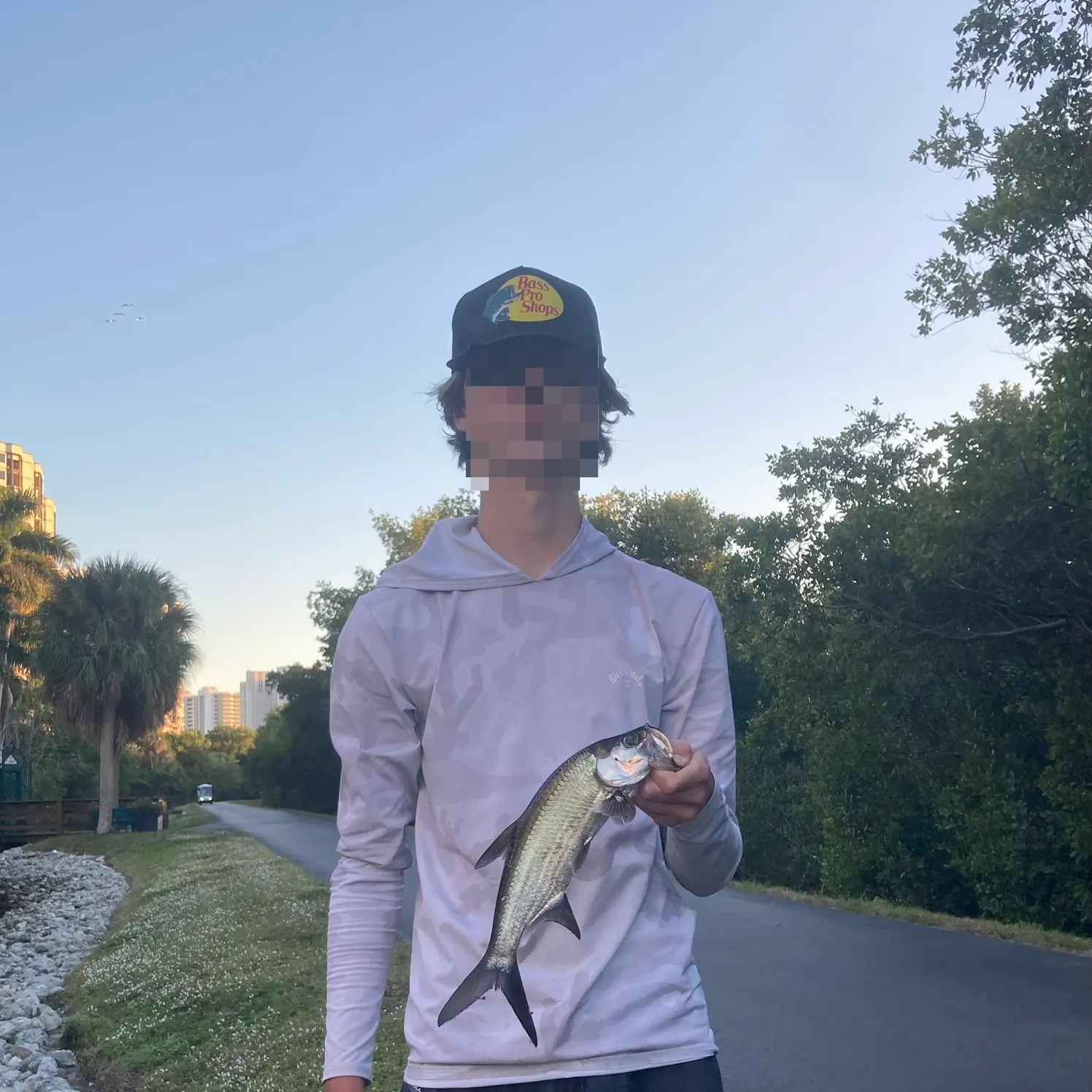 The most recent Tarpon catches on Fishbrain