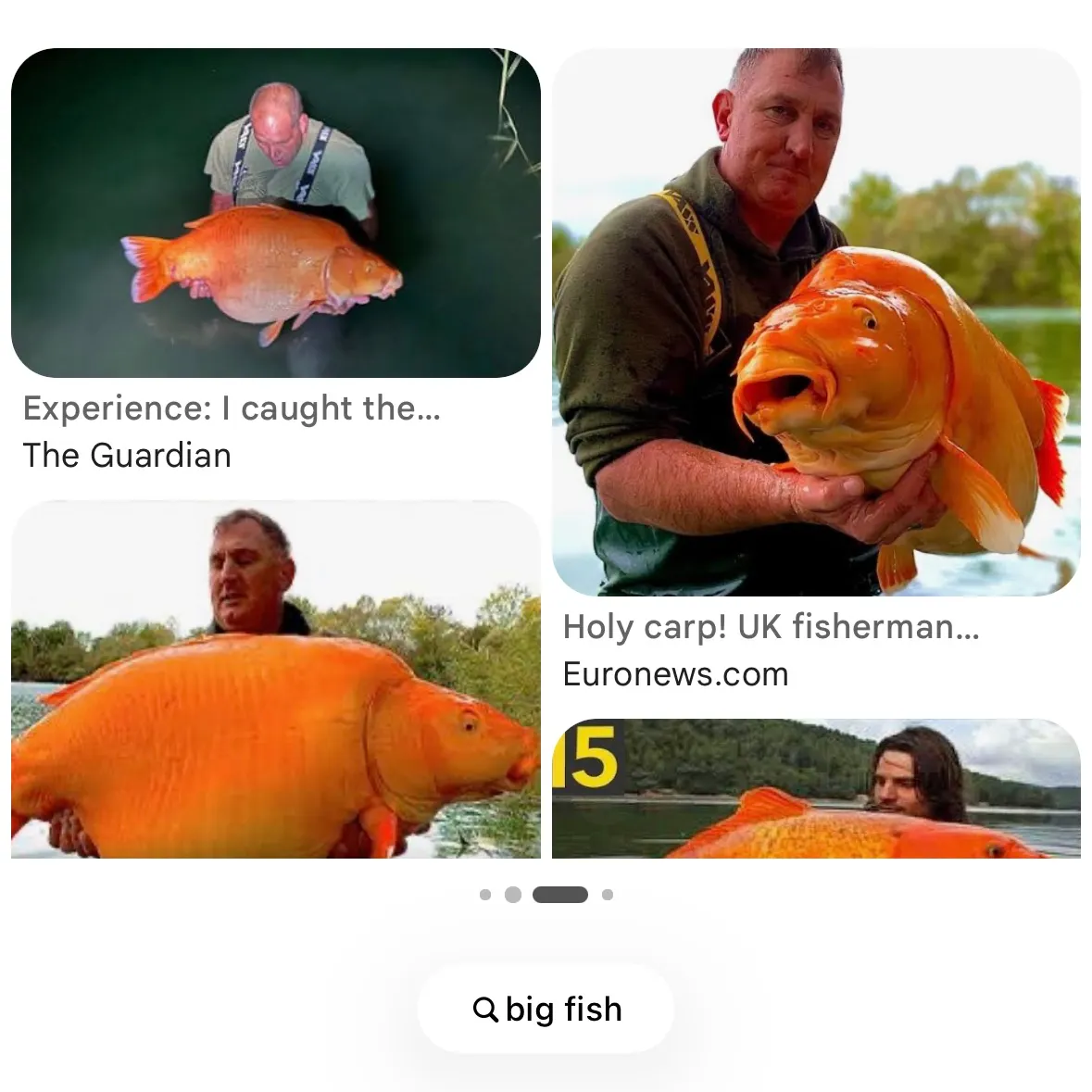 The most recent Atlantic blue marlin catches on Fishbrain