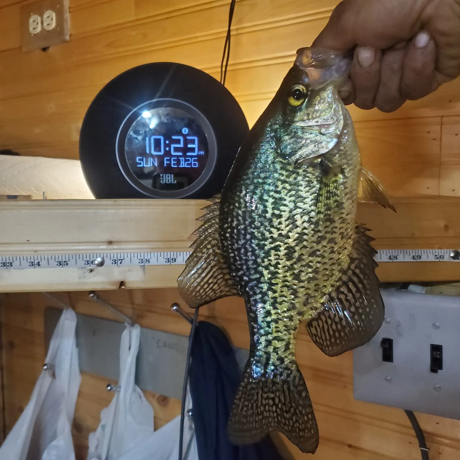 recently logged catches