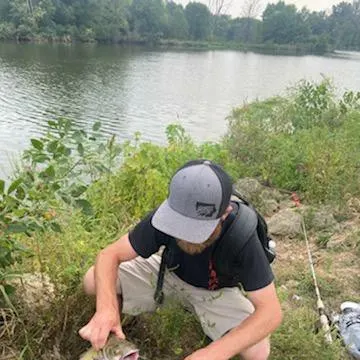Channel catfish caught on Fishbrain