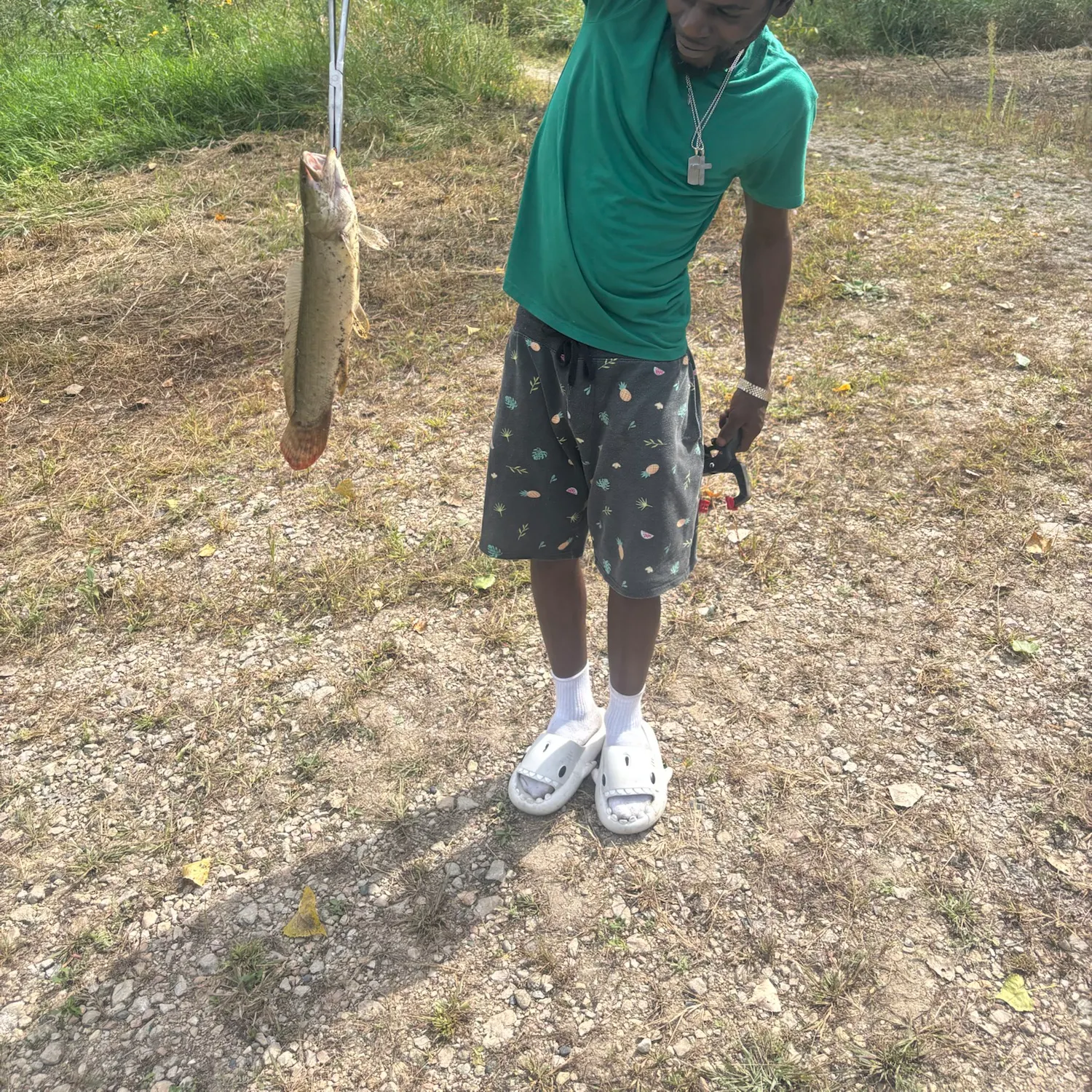 The most recent Redtail chub catches on Fishbrain